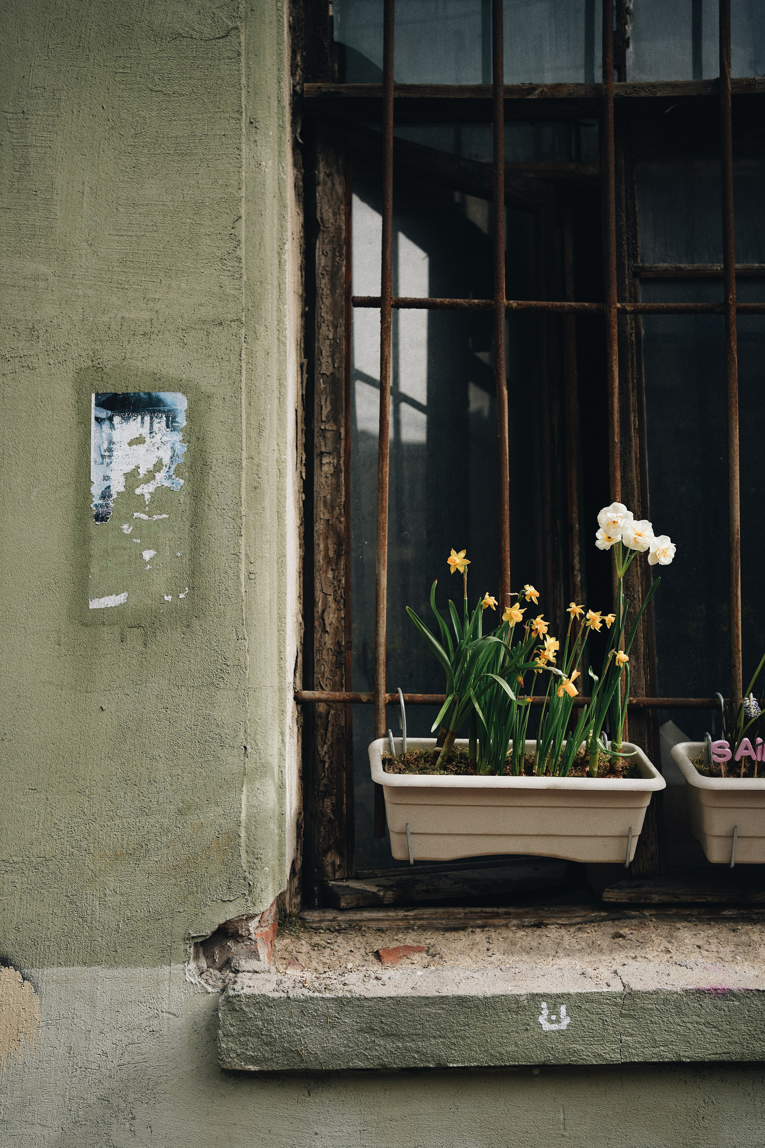 Street. Ксения Копна. Фотограф из Санкт-Петербурга