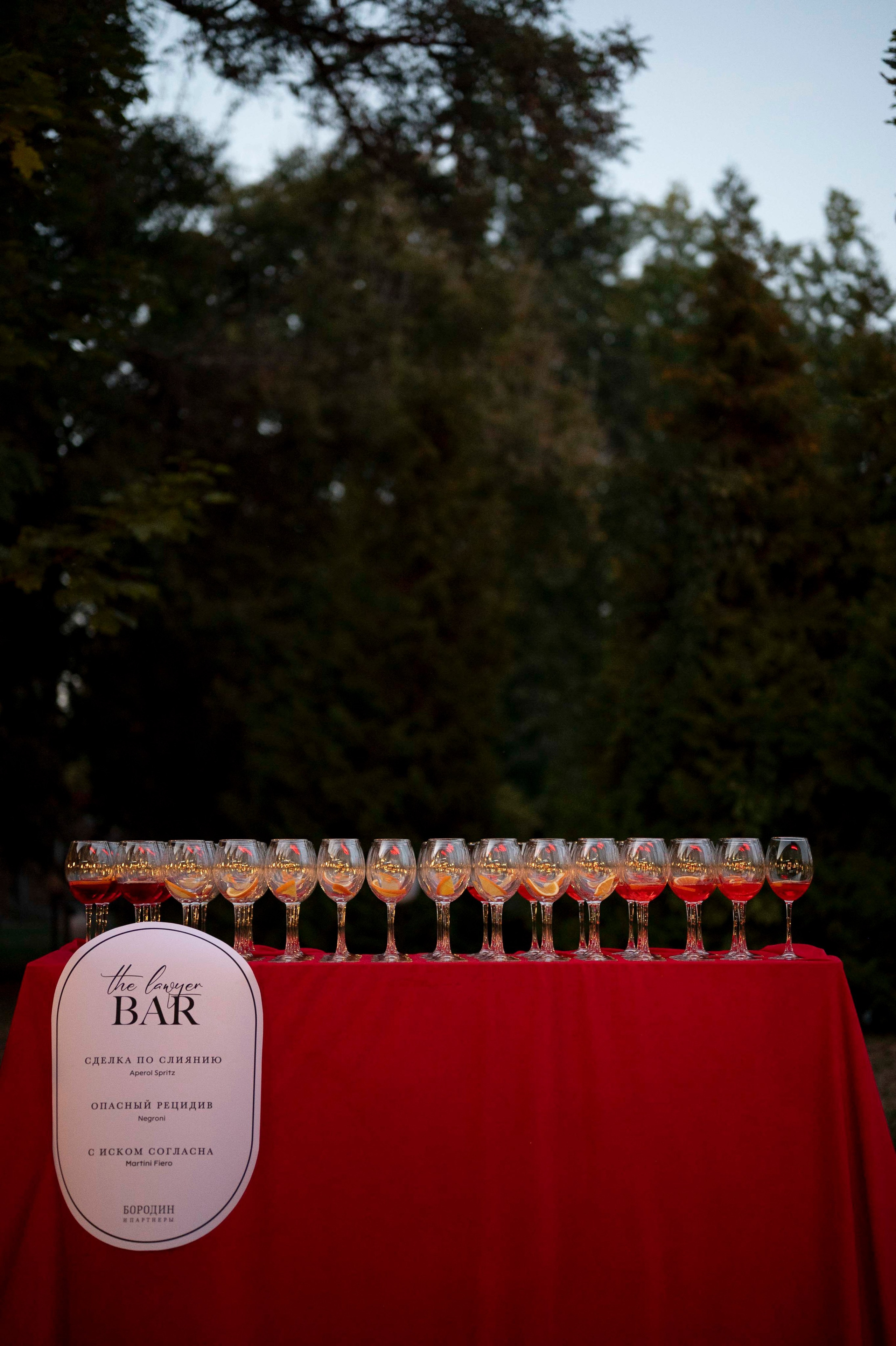 Бородин и Партнеры — Вечер в стиле Дориана Грея. Фотограф для бизнеса Антон Горин