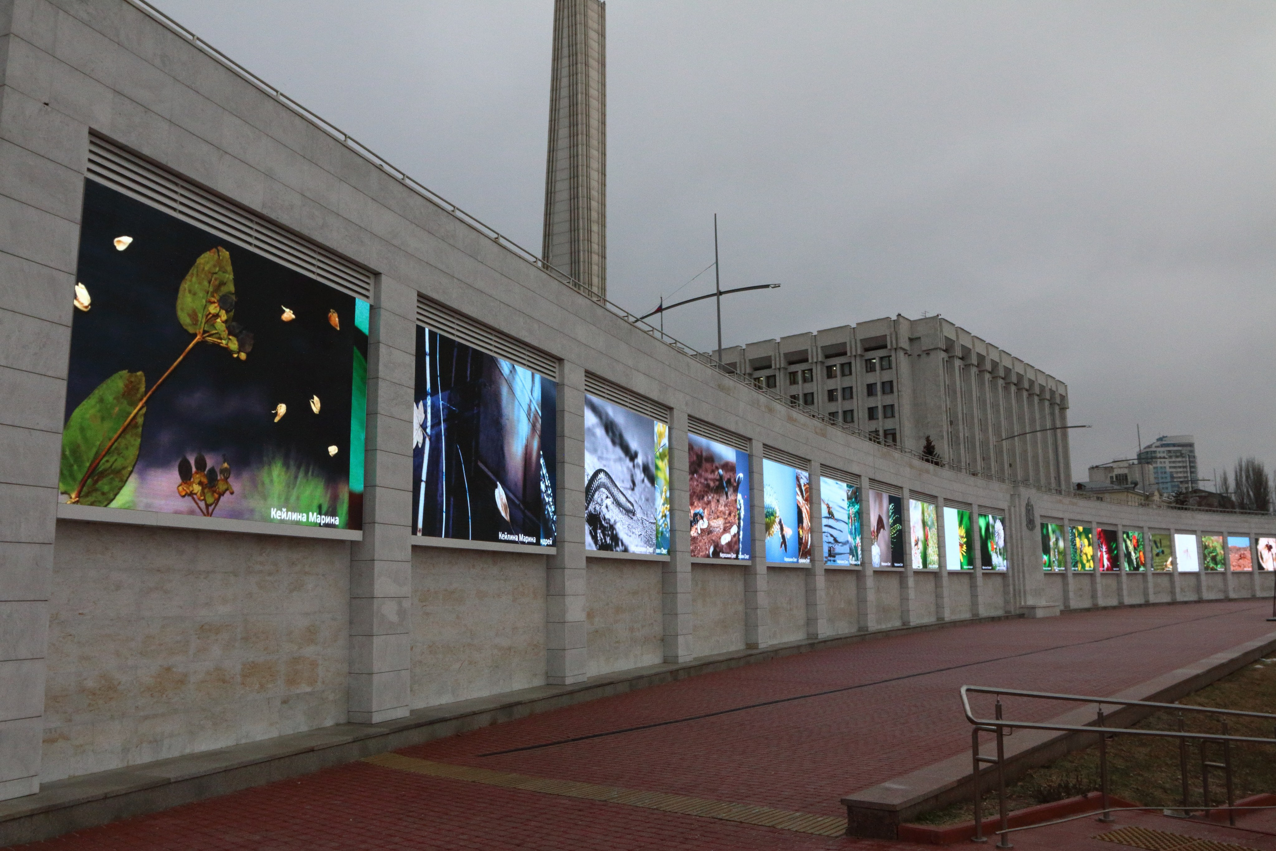 03.10.2021 Выставка «МакроМагия». Фотообъединение Самарского областного отделения Союза журналистов России