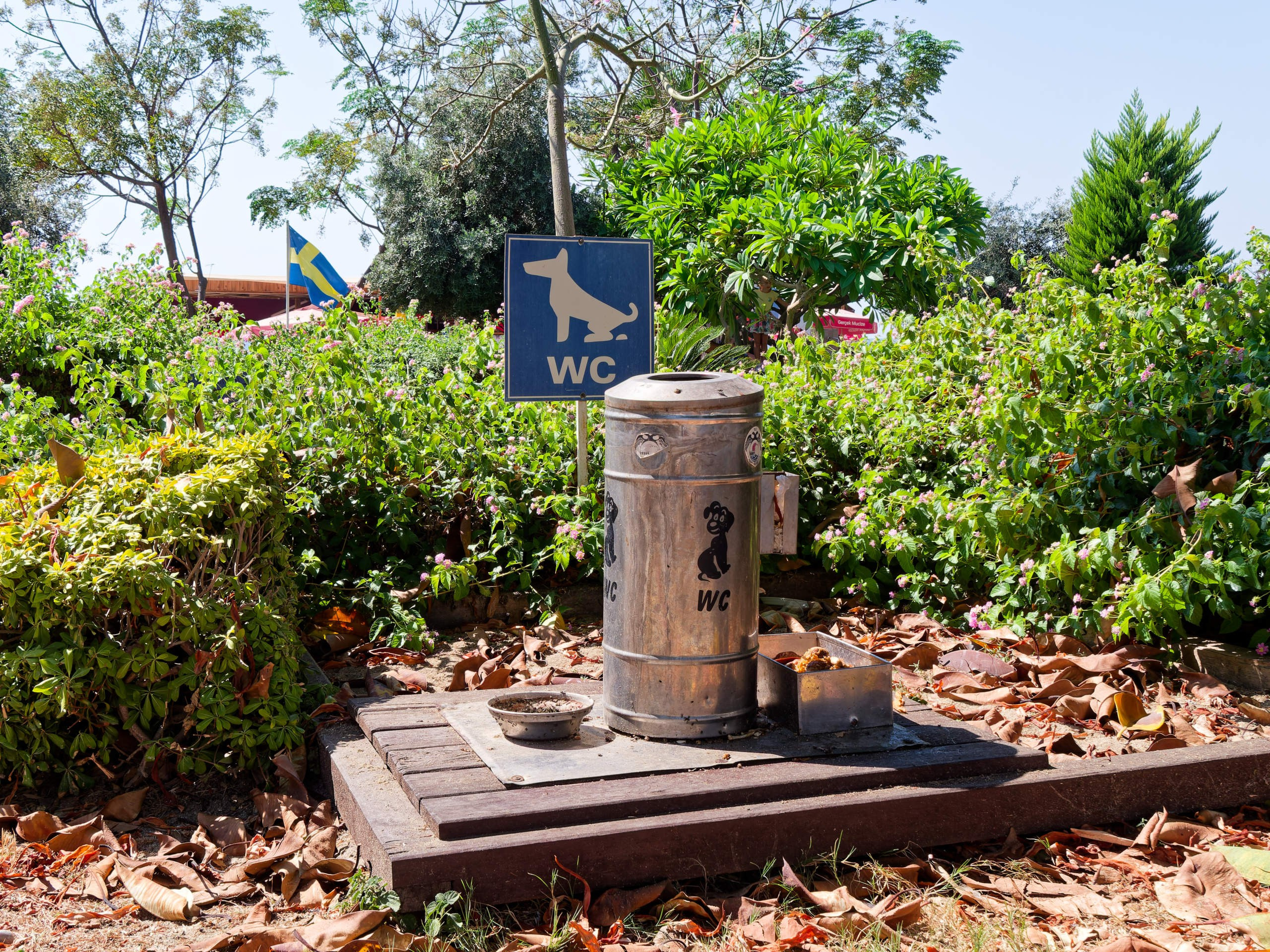 Алания 2025, город, стрит-фото. Избранные фотографии