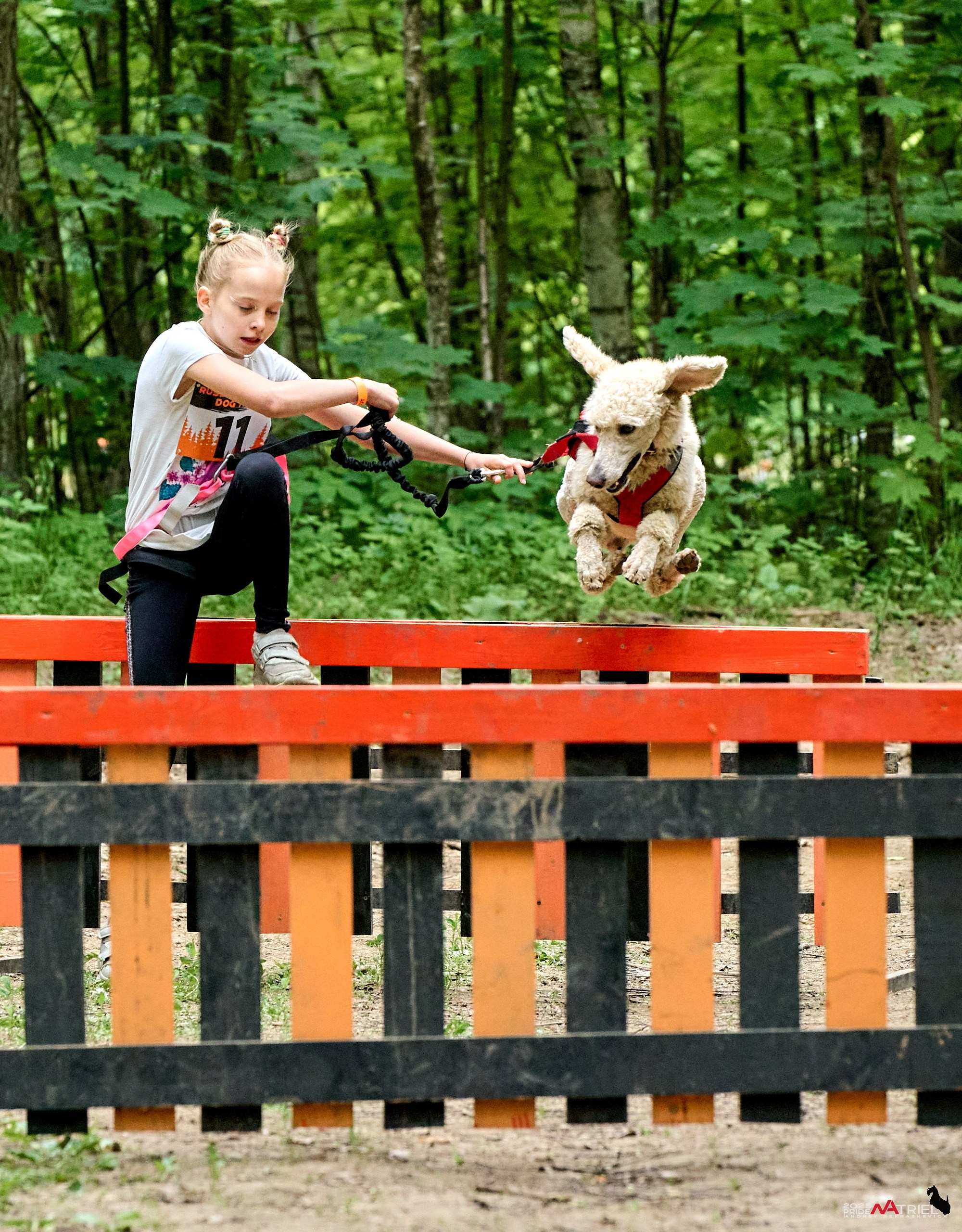 Russian Extreme Dog Trail — 2025