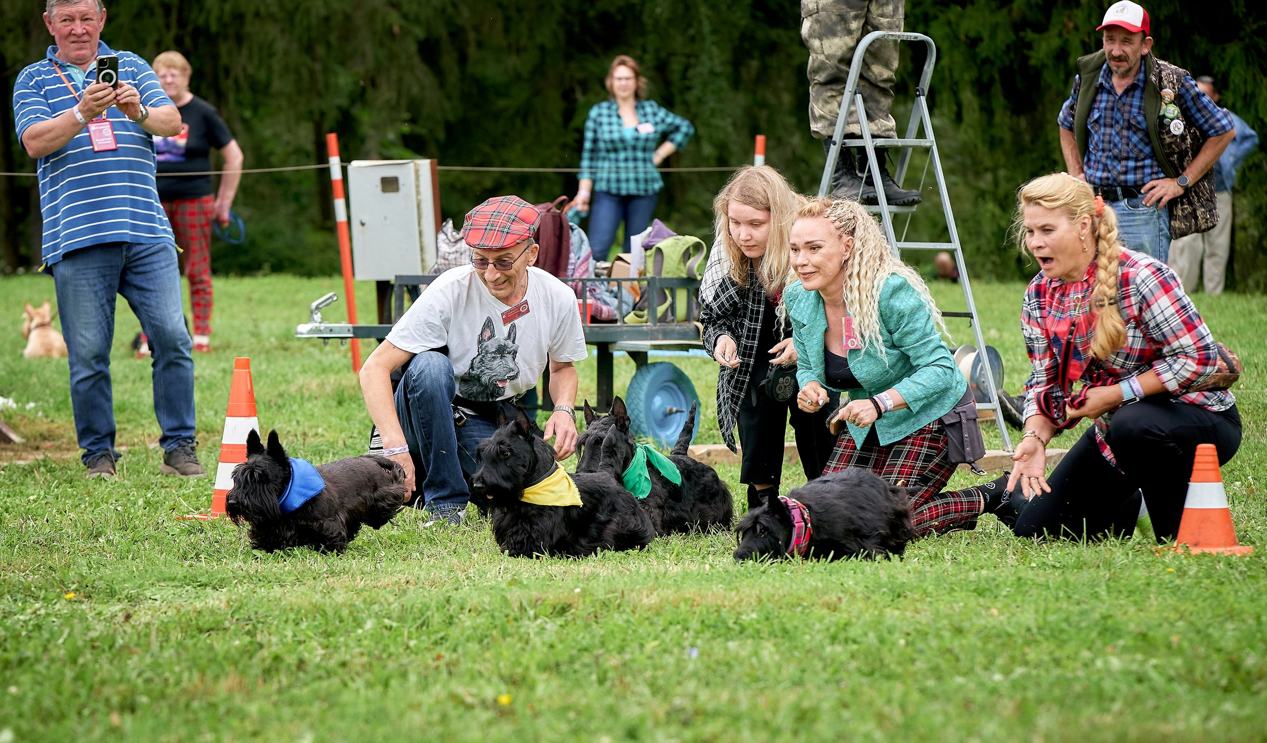 Мероприятия с собаками — галерея NATRIEL