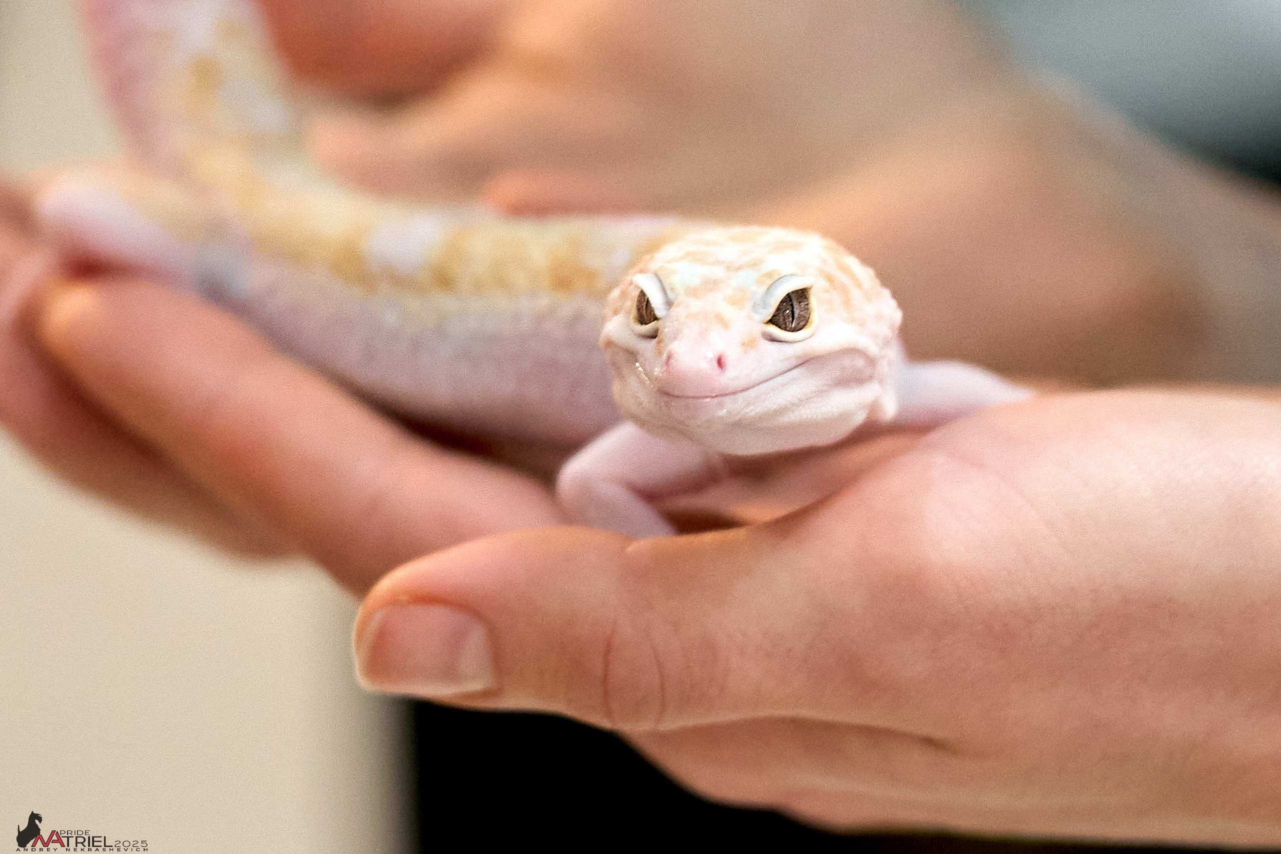 Репортаж с ЗООФЕСТ в Крокусе