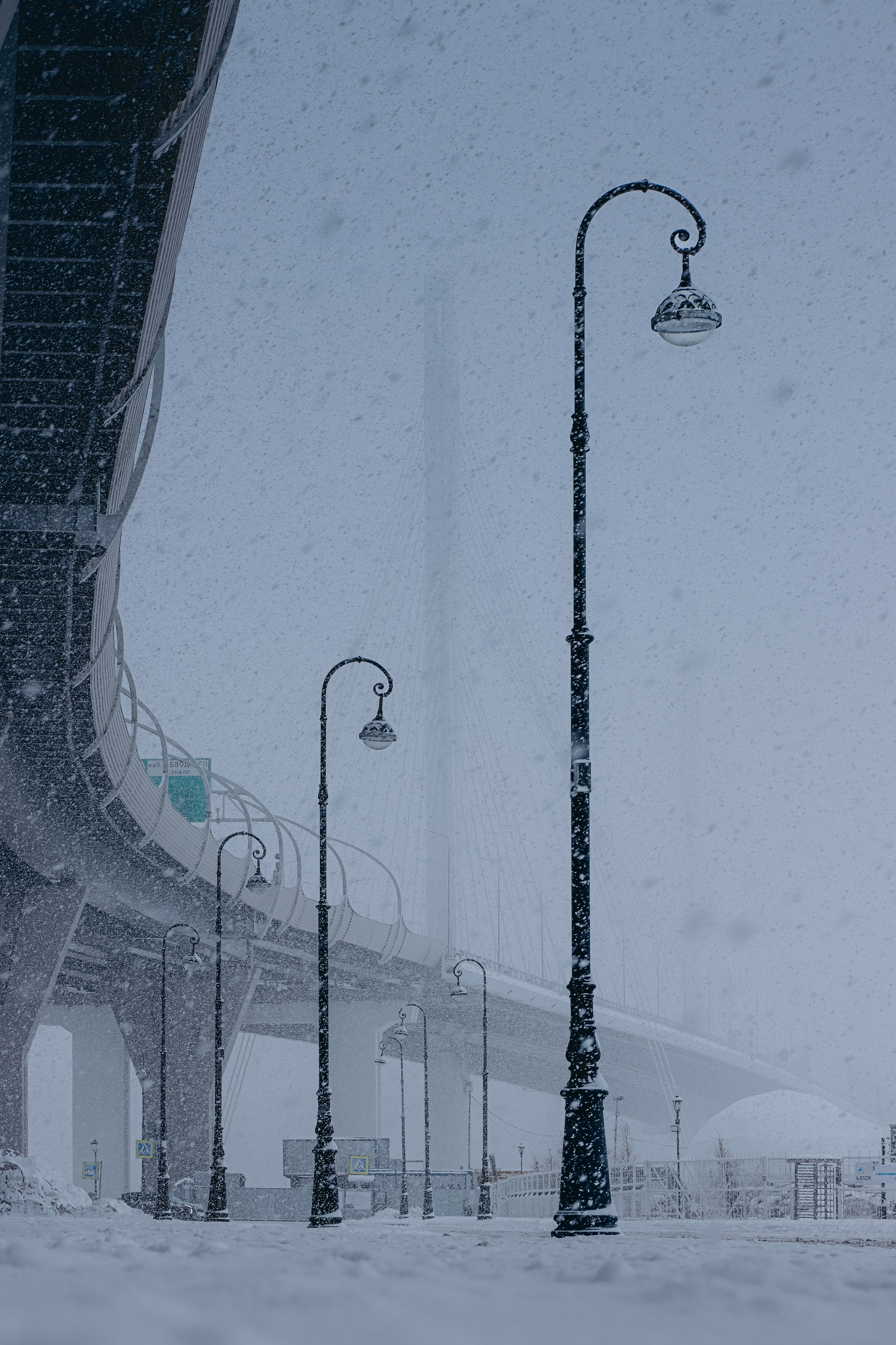 Вантовый мост у Газпром Арены. Фотограф | Данил Шукан | Санкт-Петербург