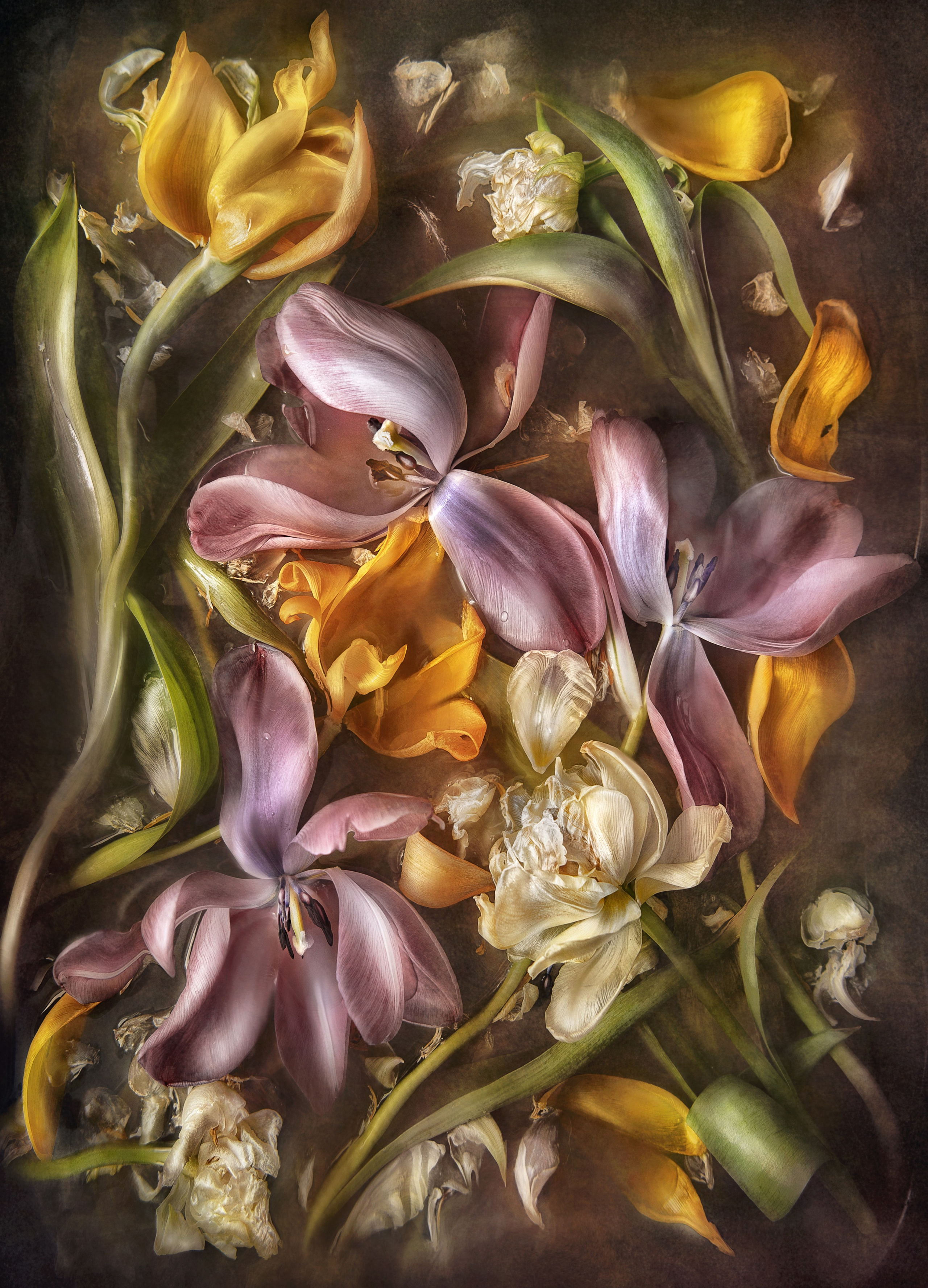 Фотохудожник Нина Жихарева