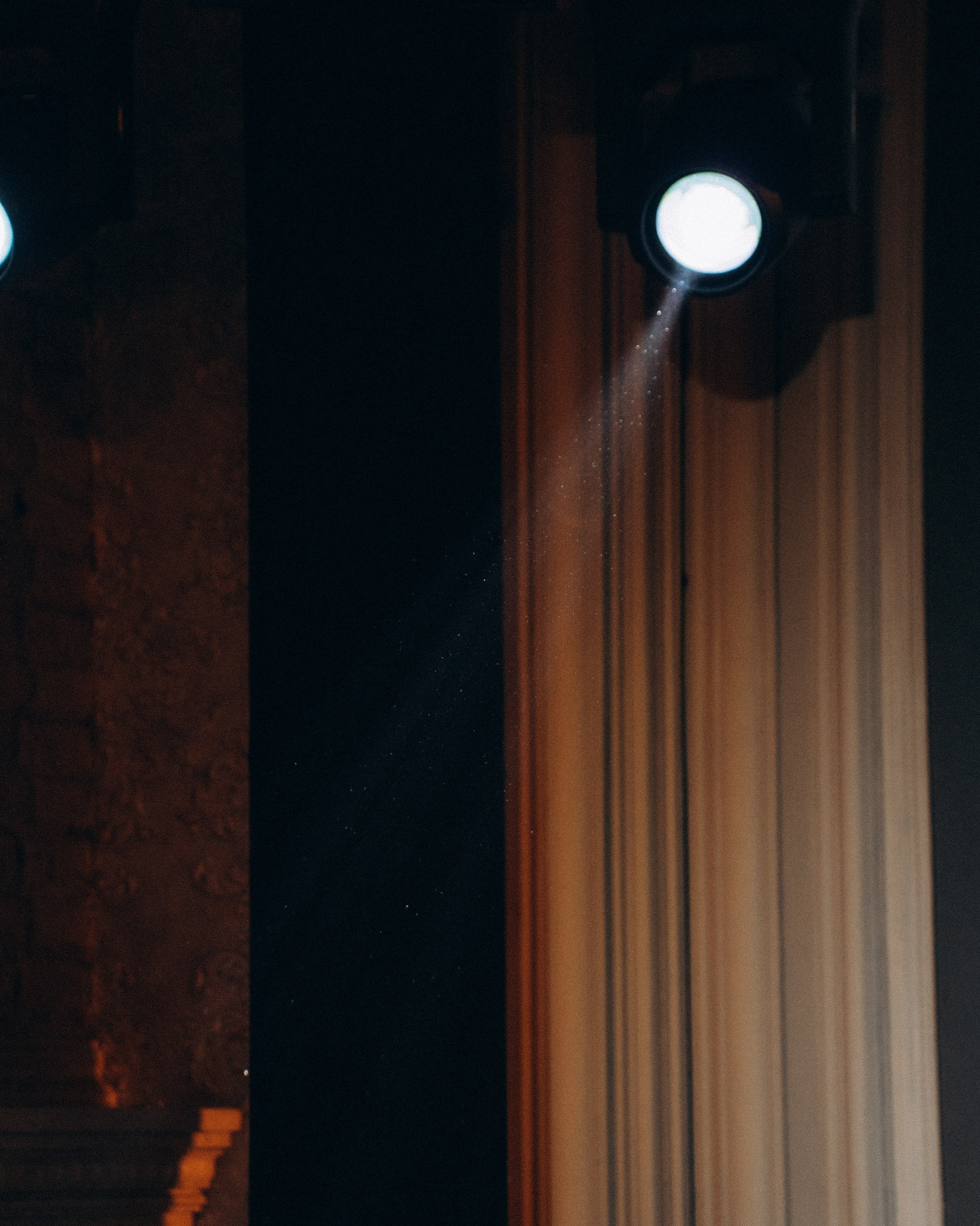 Roya. Фотограф Москва Селюкова Юлия