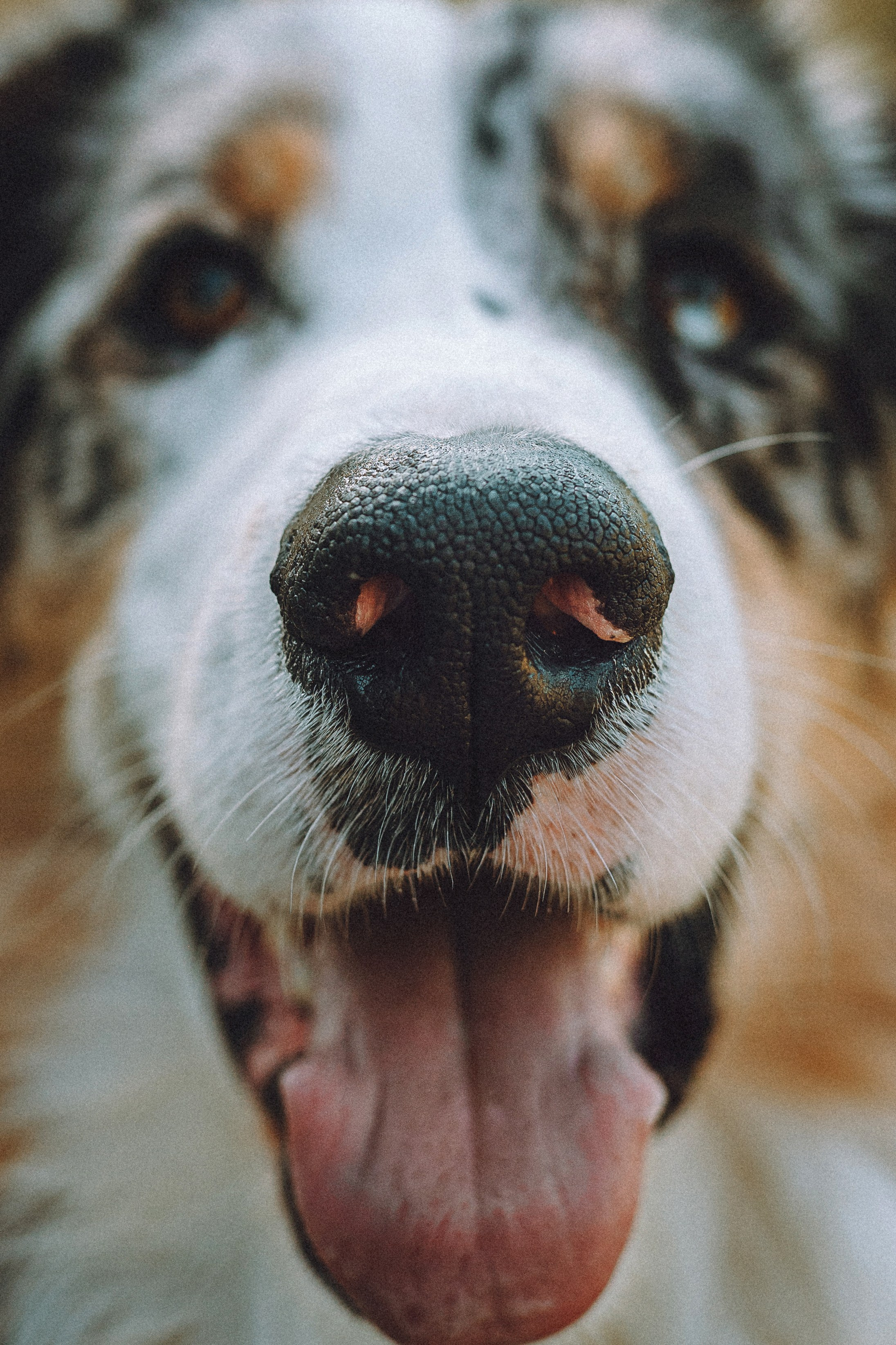 Саша, Рома и Один