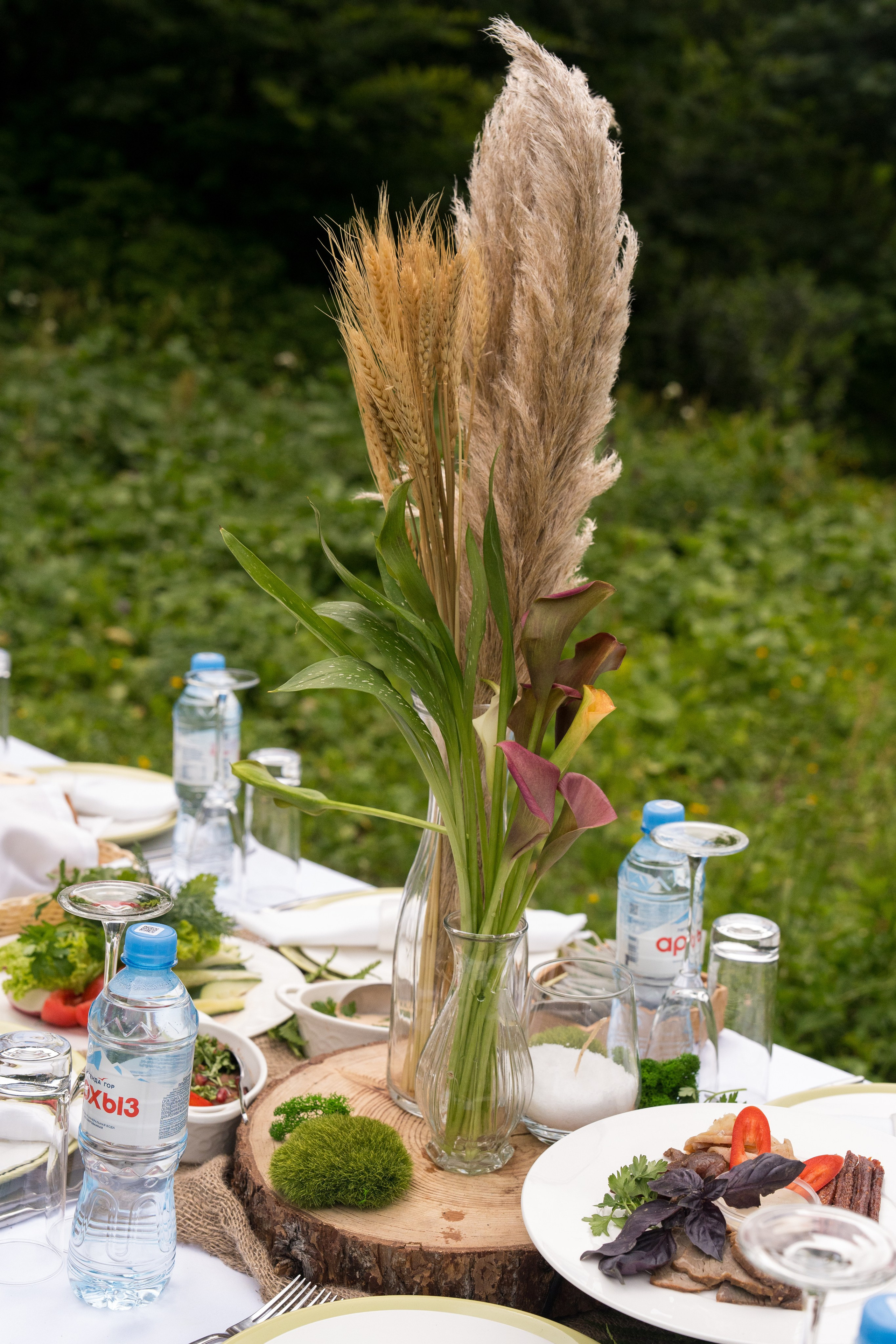 MICE мероприятие для компании «Доставка морем»: хайкинг к Ачипсинским водопадам. Репортажный фотограф в Красной Поляне и Сочи Павлюченко Екатерина