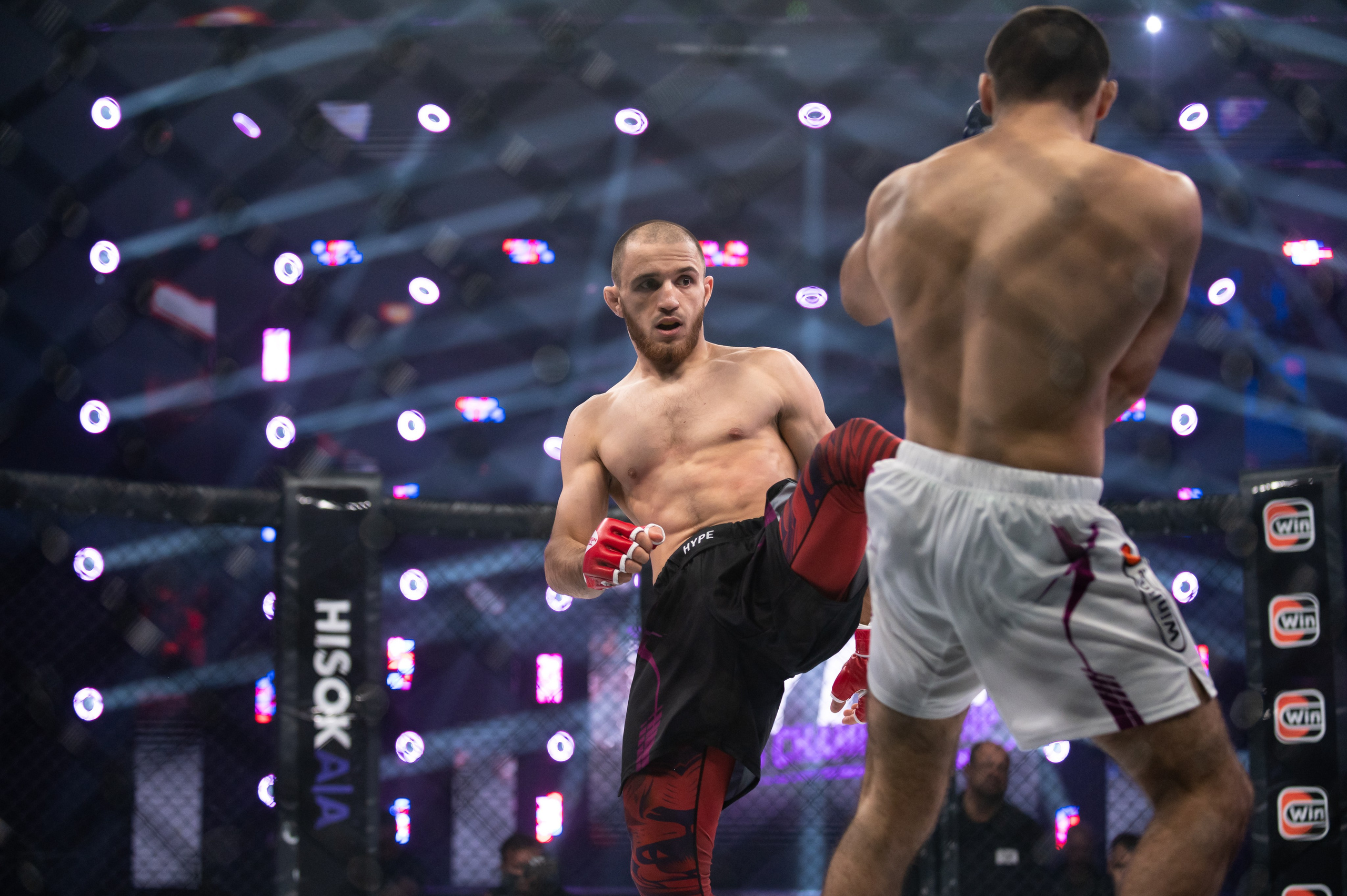 Бои. Репортажный фотограф в Красной Поляне и Сочи Павлюченко Екатерина