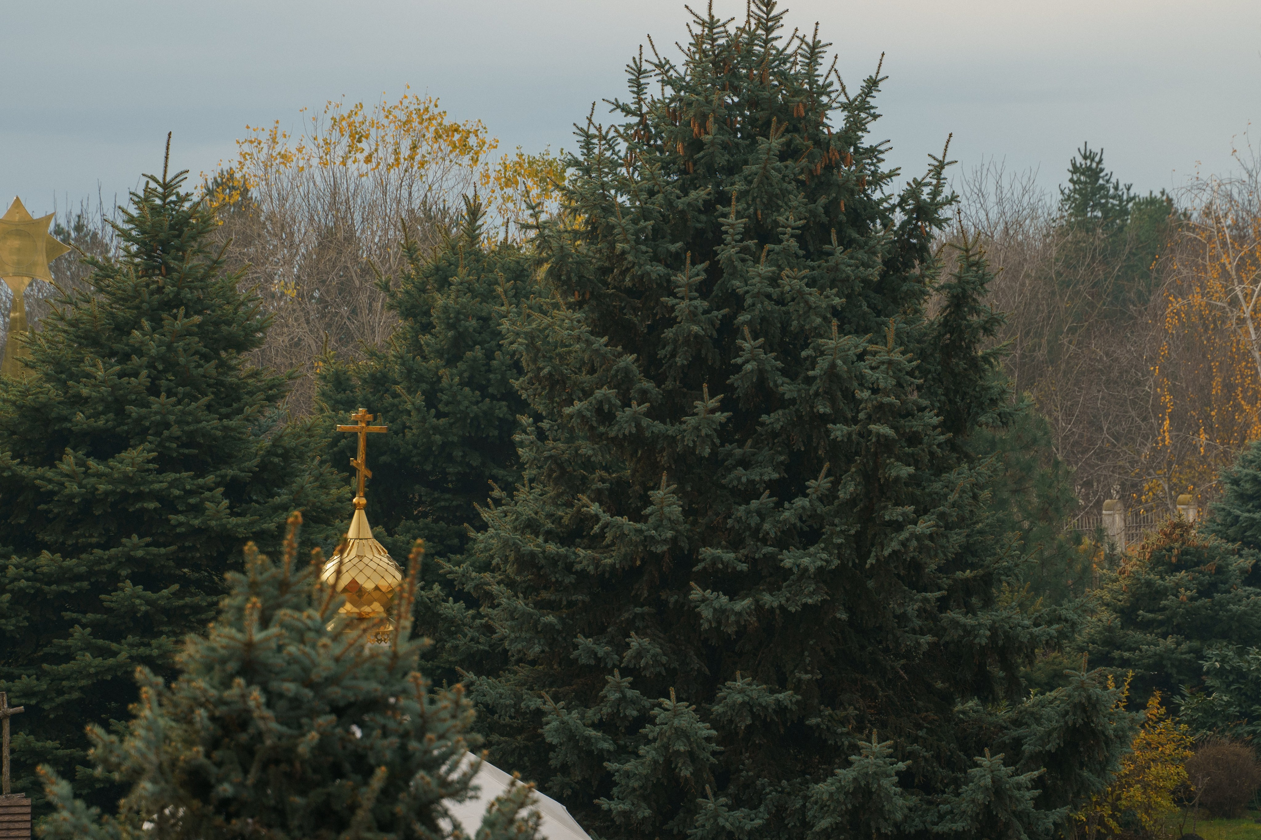 Выписки и Крестины. Главная