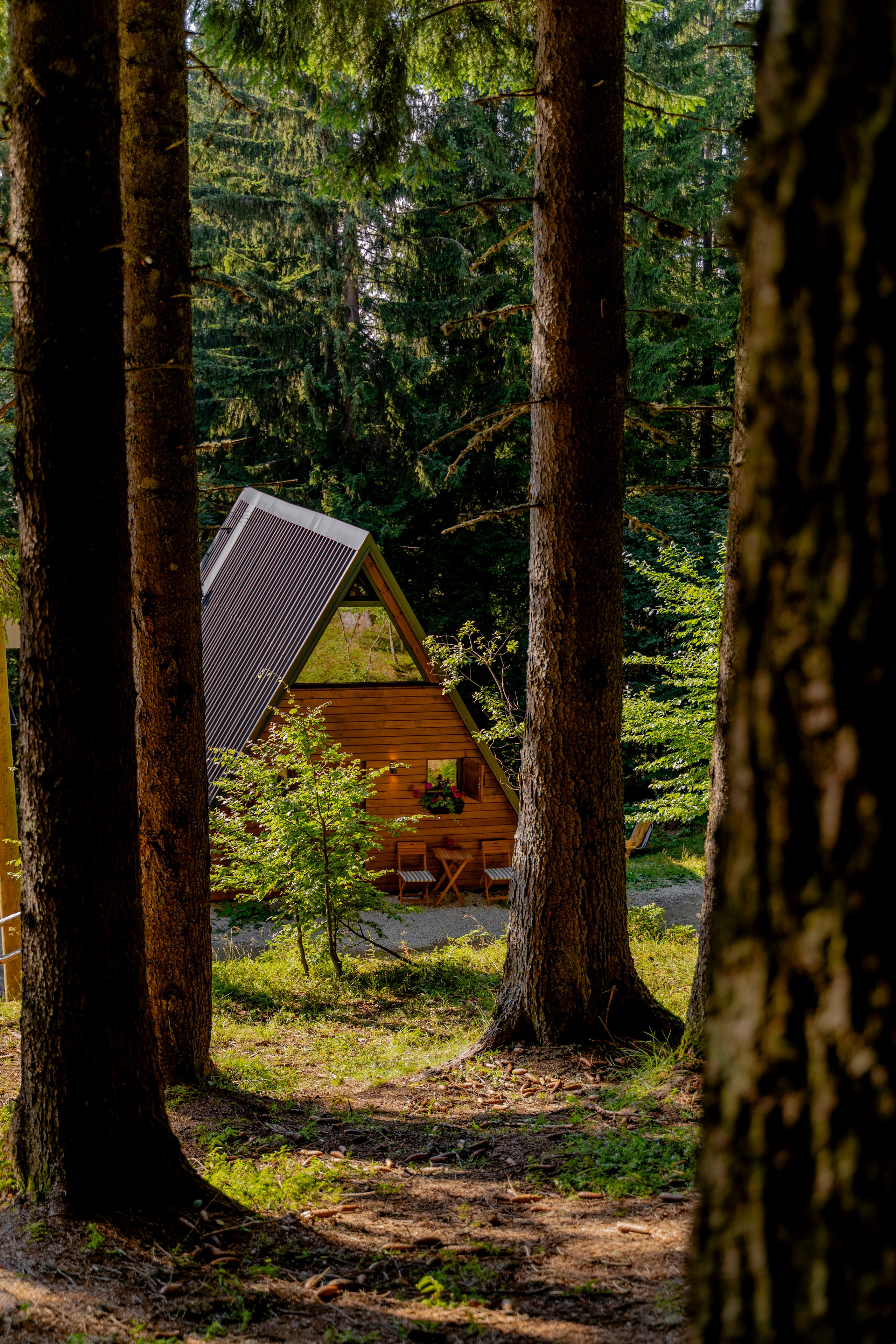 Viktorija Chalet. Photographer Liana Sudets Serbia Kopaonik Brzece Brus