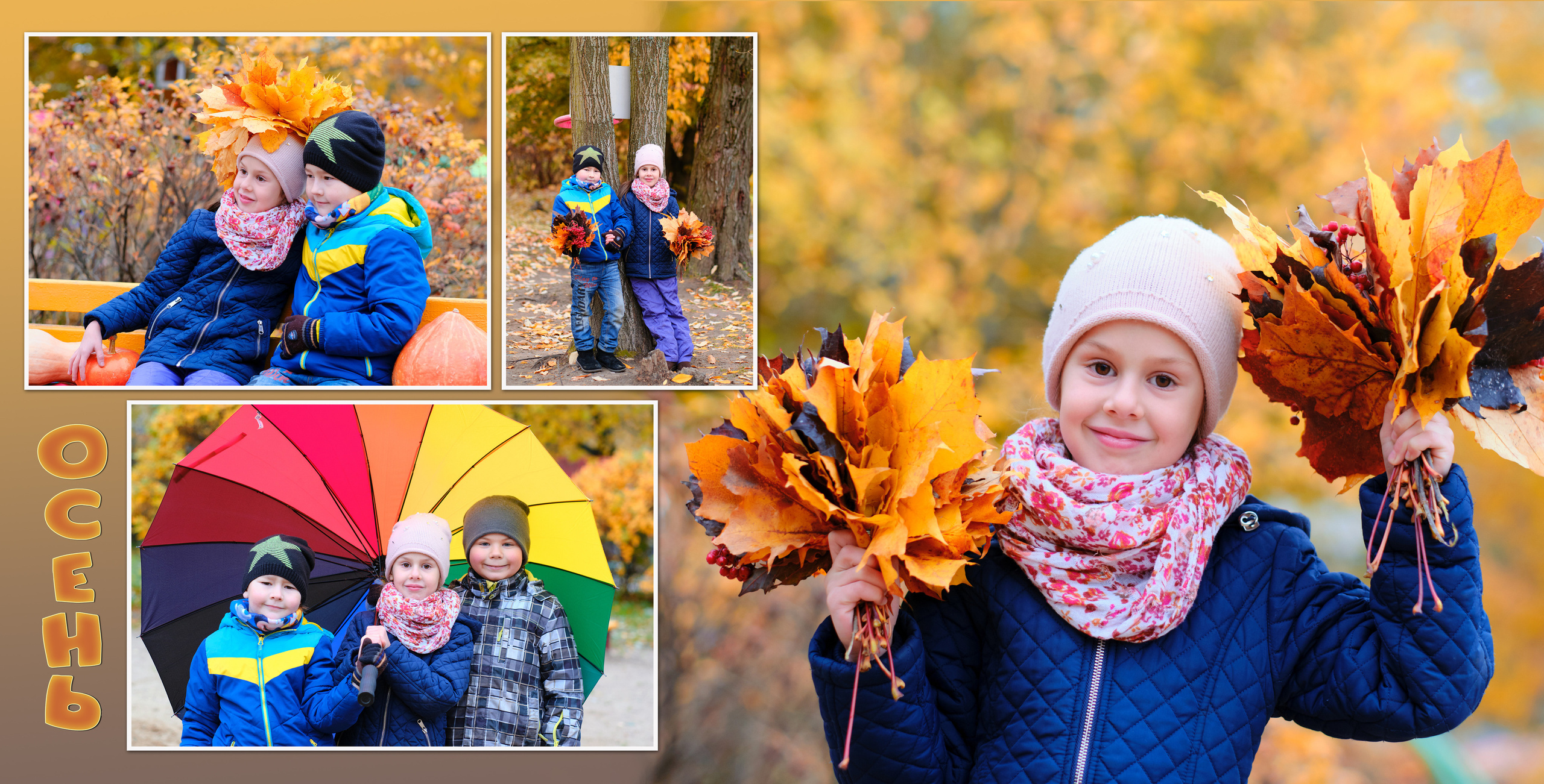 КНИГА ПРЕМИУМ