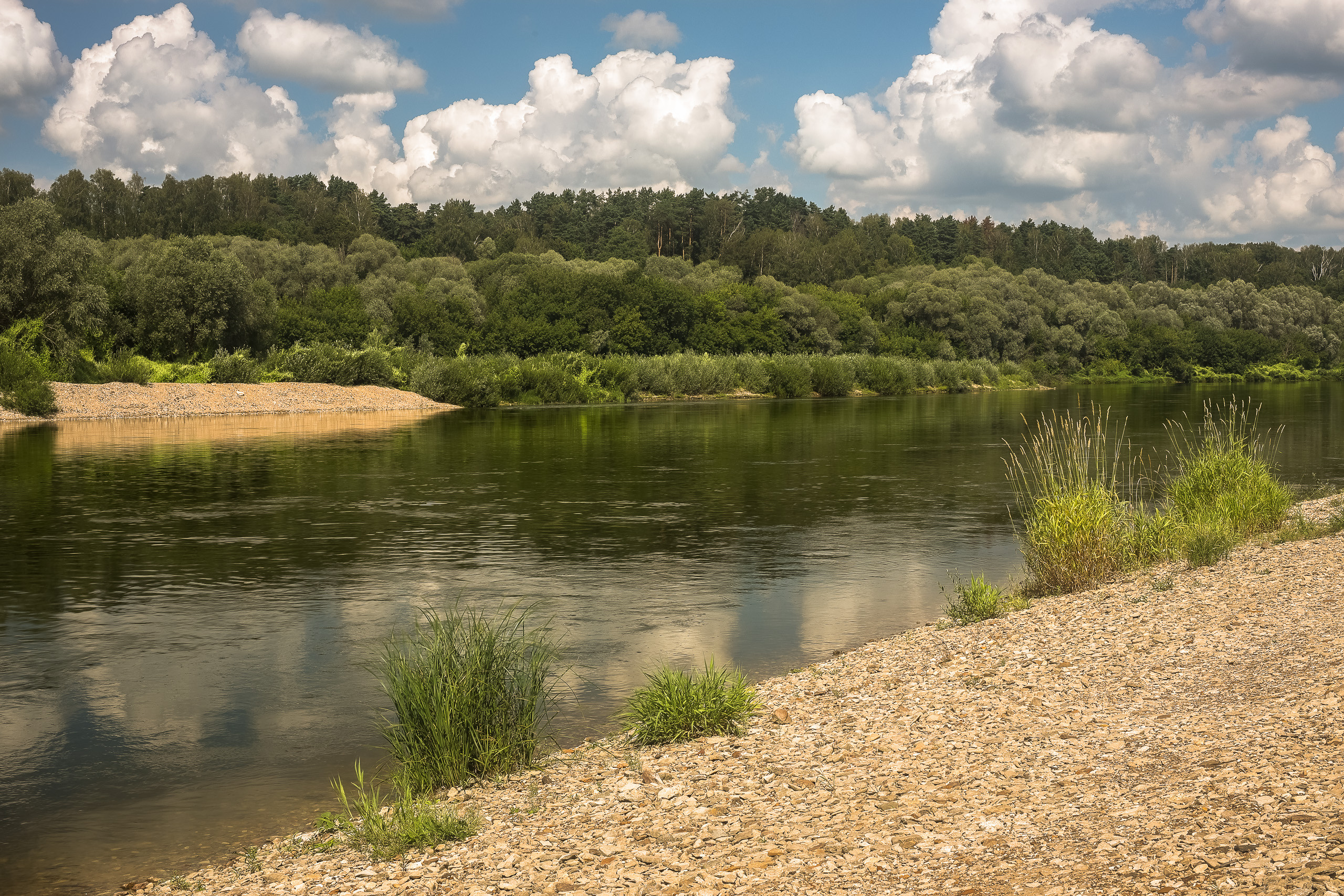 Река Ока летом