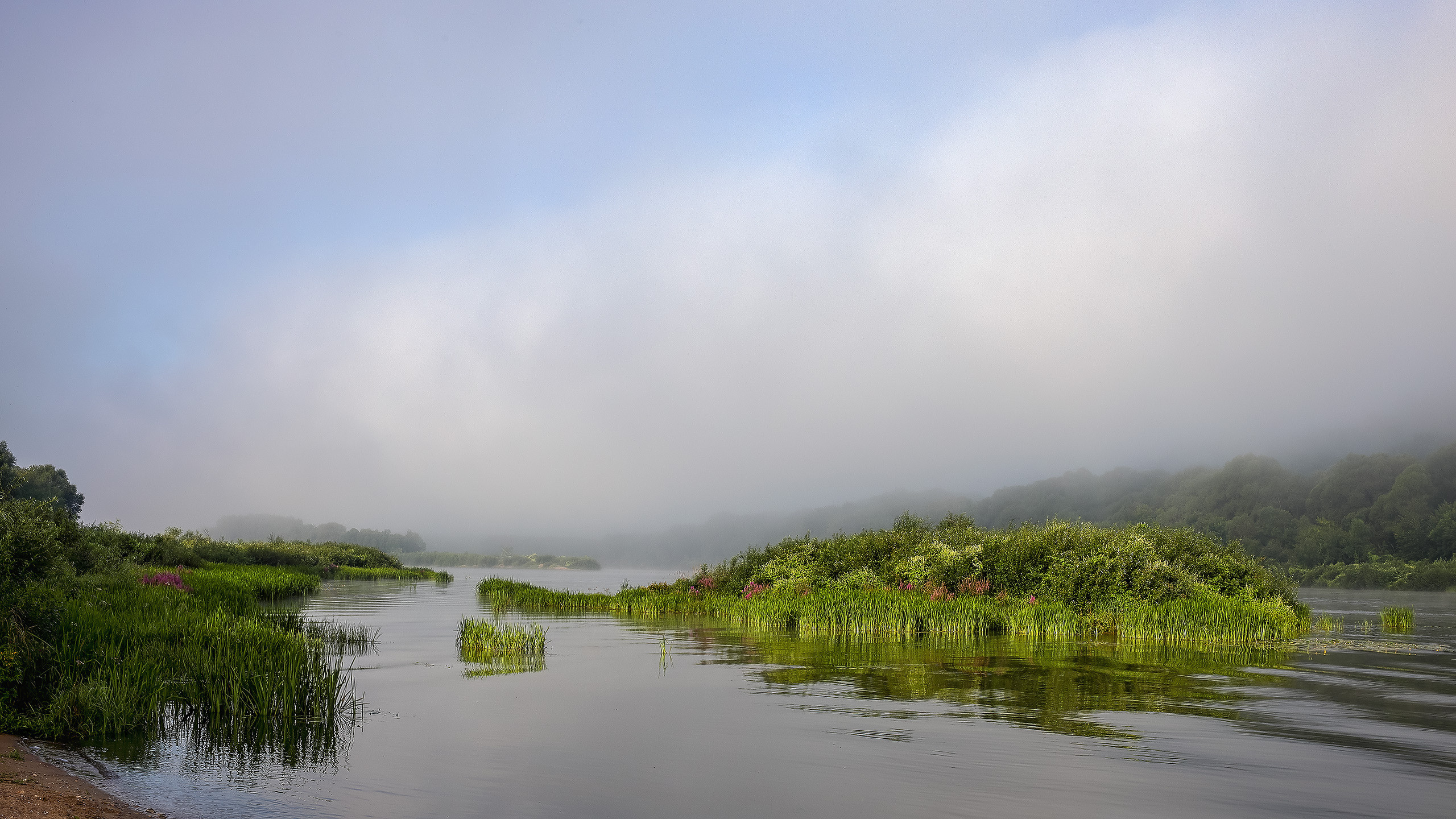 Летний рассвет на реке Ока