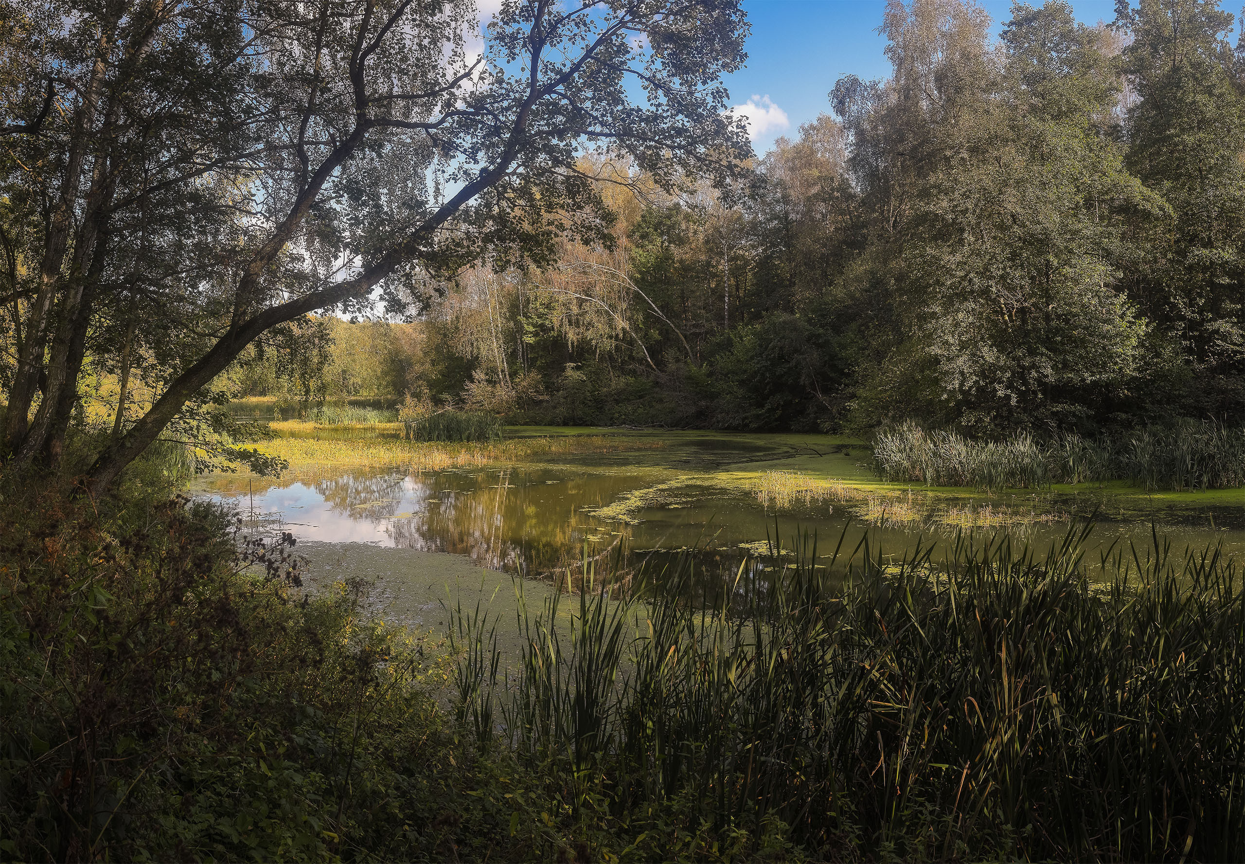 Осенняя река Жданка