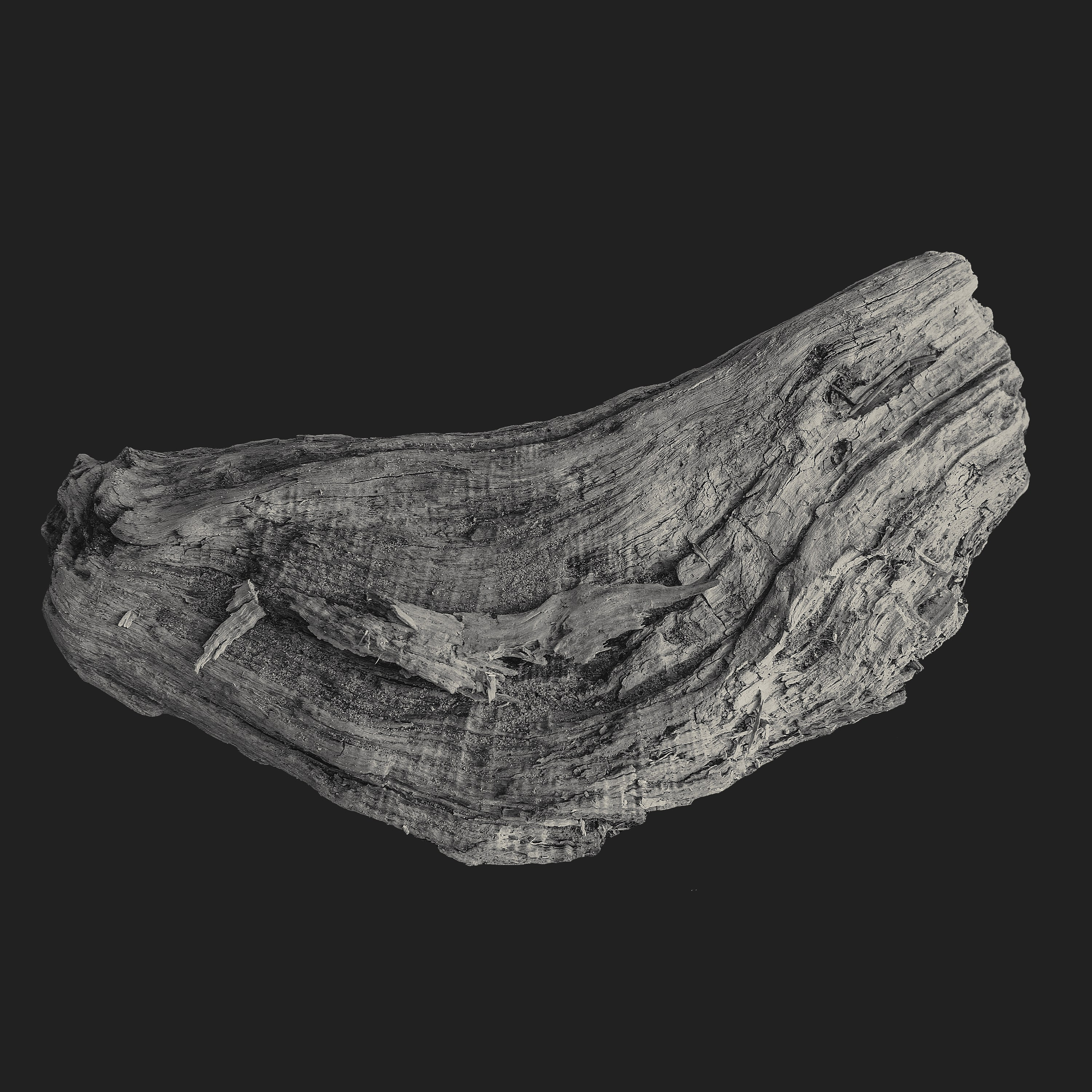 Монохромная и минималистичная фотография природы. Фотограф | Макс Коробкин