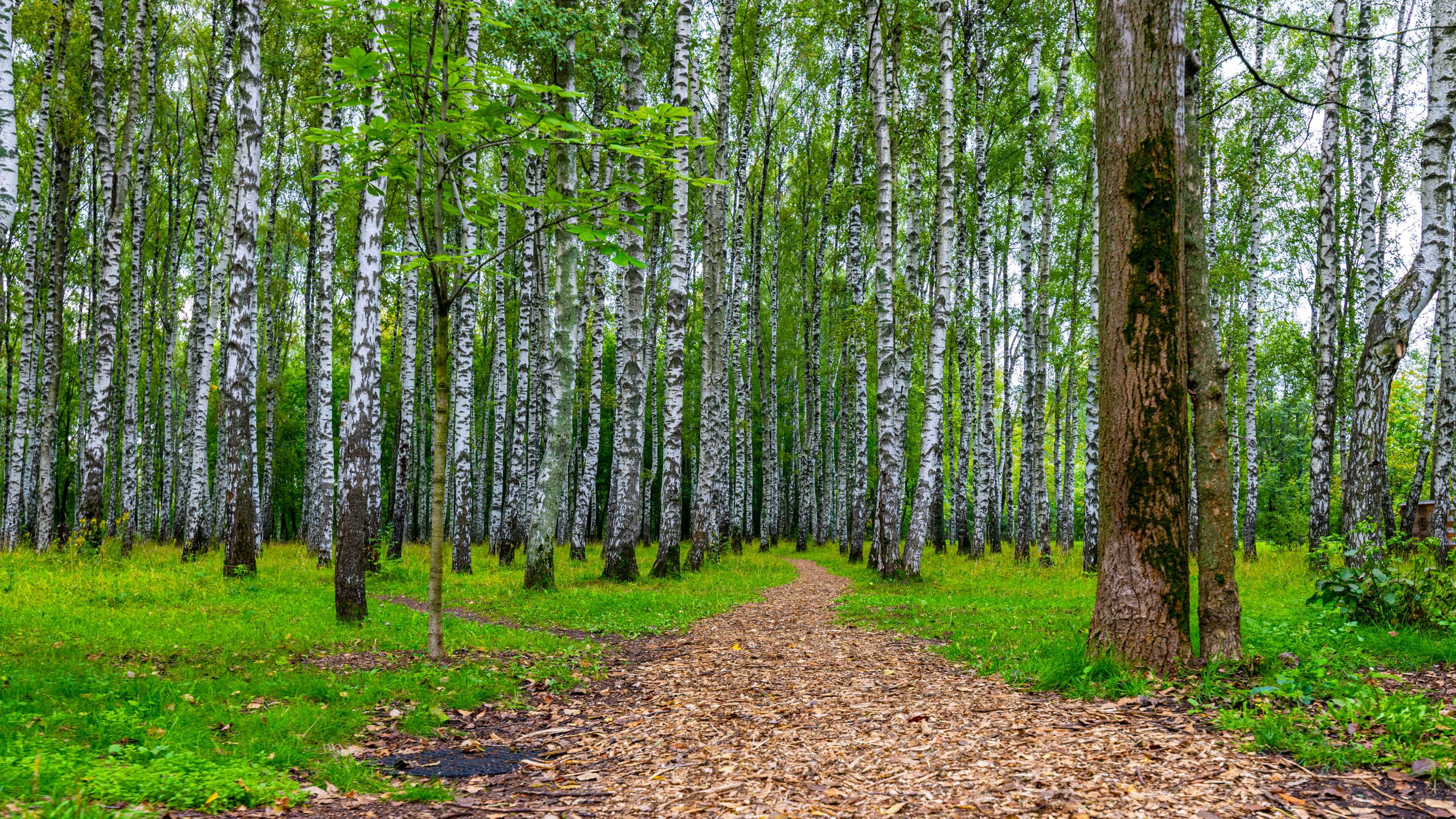 2024 08 Нижний Новгород. День города. Фотографии