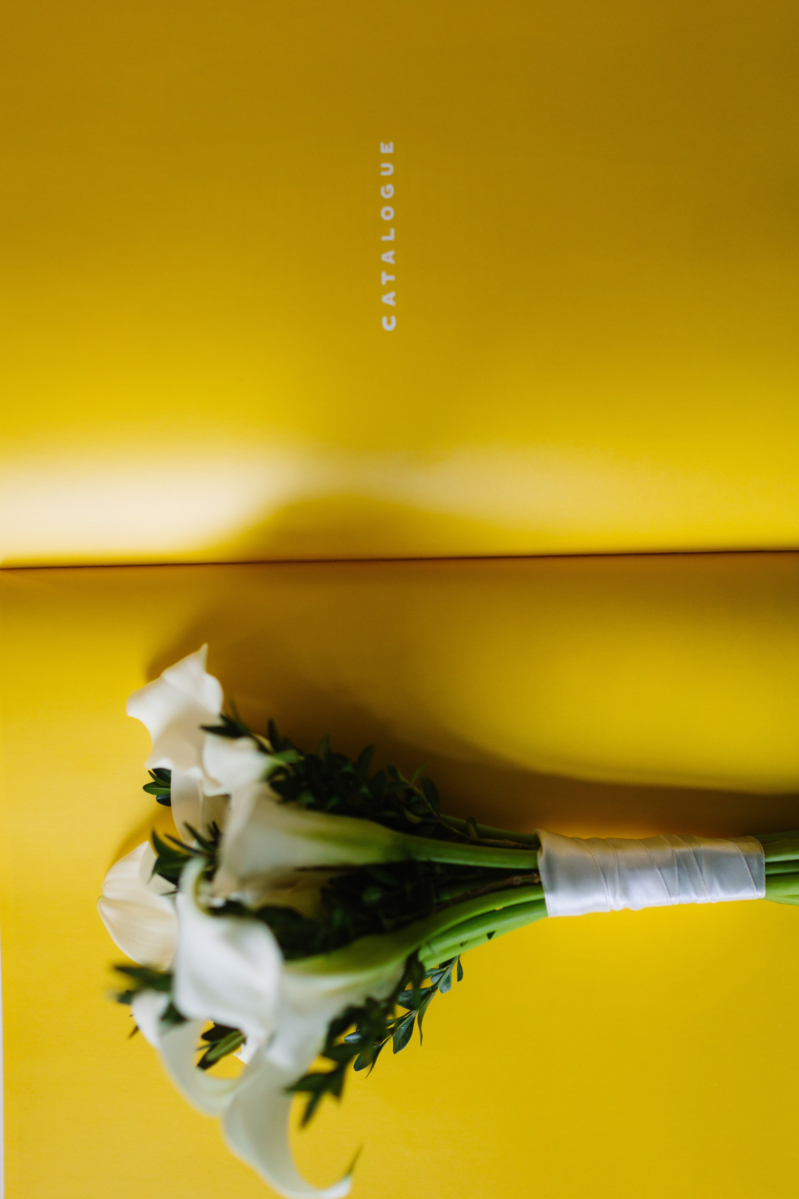 Записки сумасшедшего. Портфолио свадебного фотографа. Роман Каргаполов