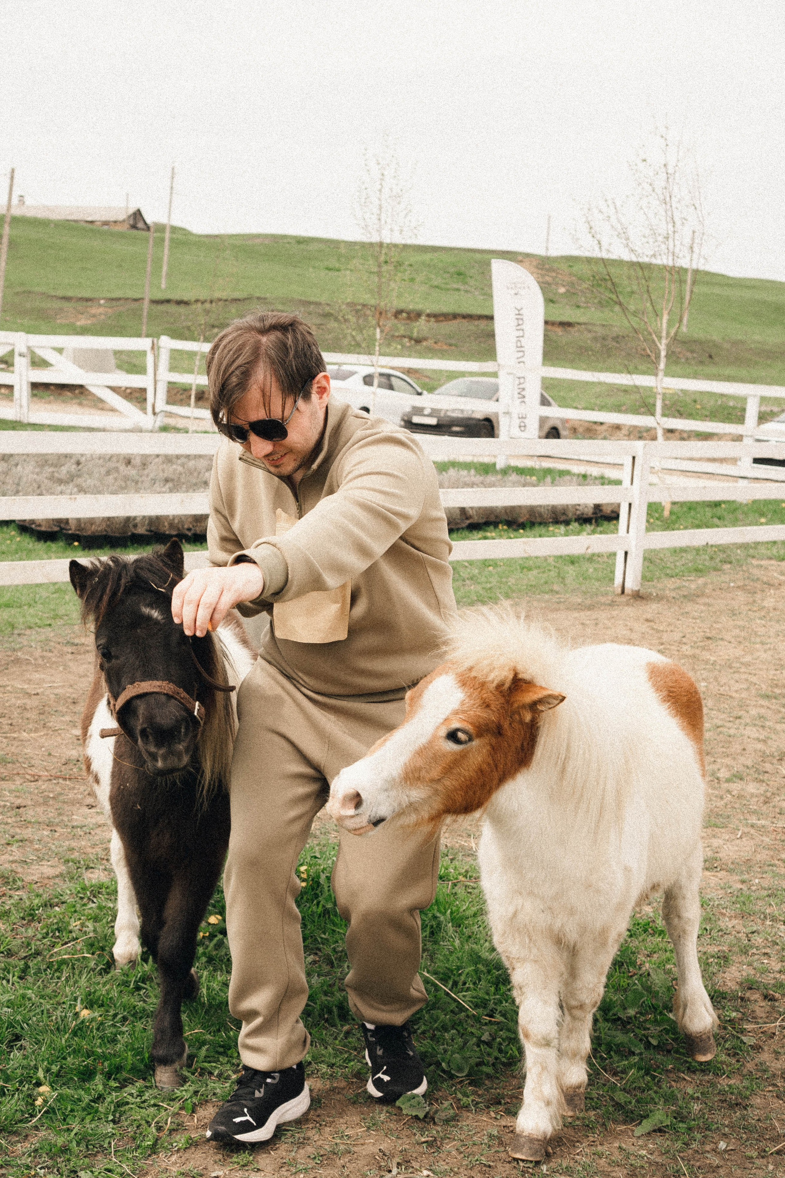 Ферма Альпак. Профессиональный фотограф, Санкт-Петербург — Виктория Богомолова