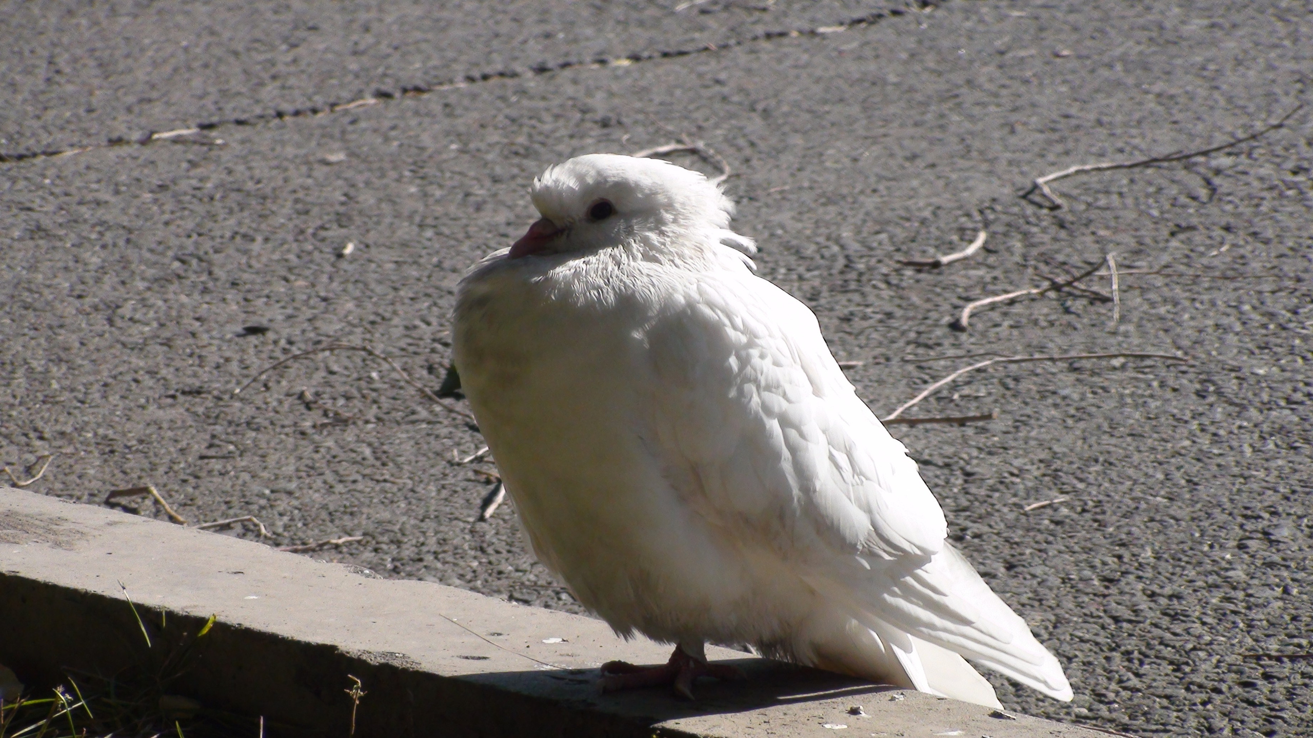 Песочные фигуры с Рускалевы 20.09.2009. Семейный, Свадебный фотограф СПБ Питер— Романова Екатерина