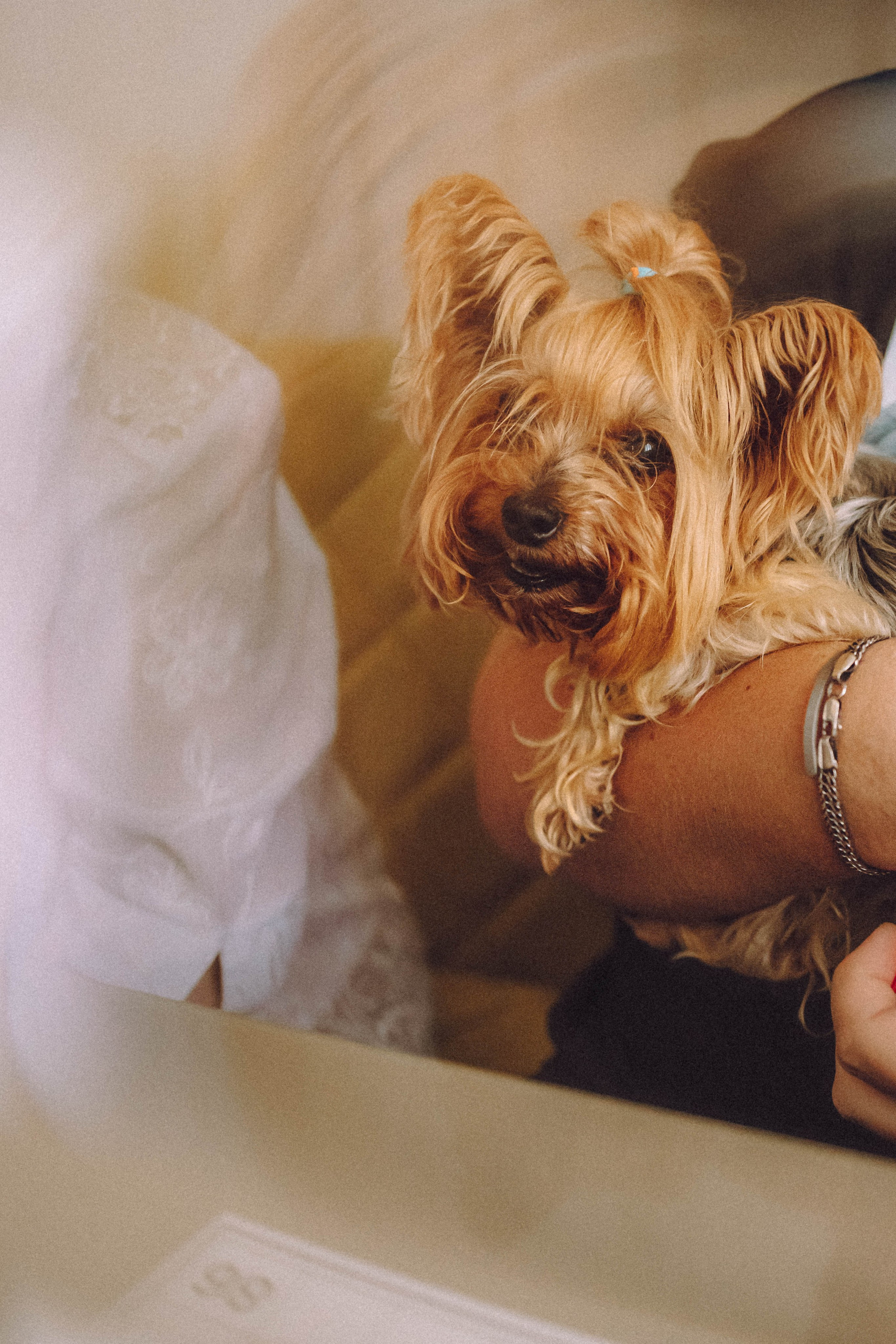 Дэзи и ее семья