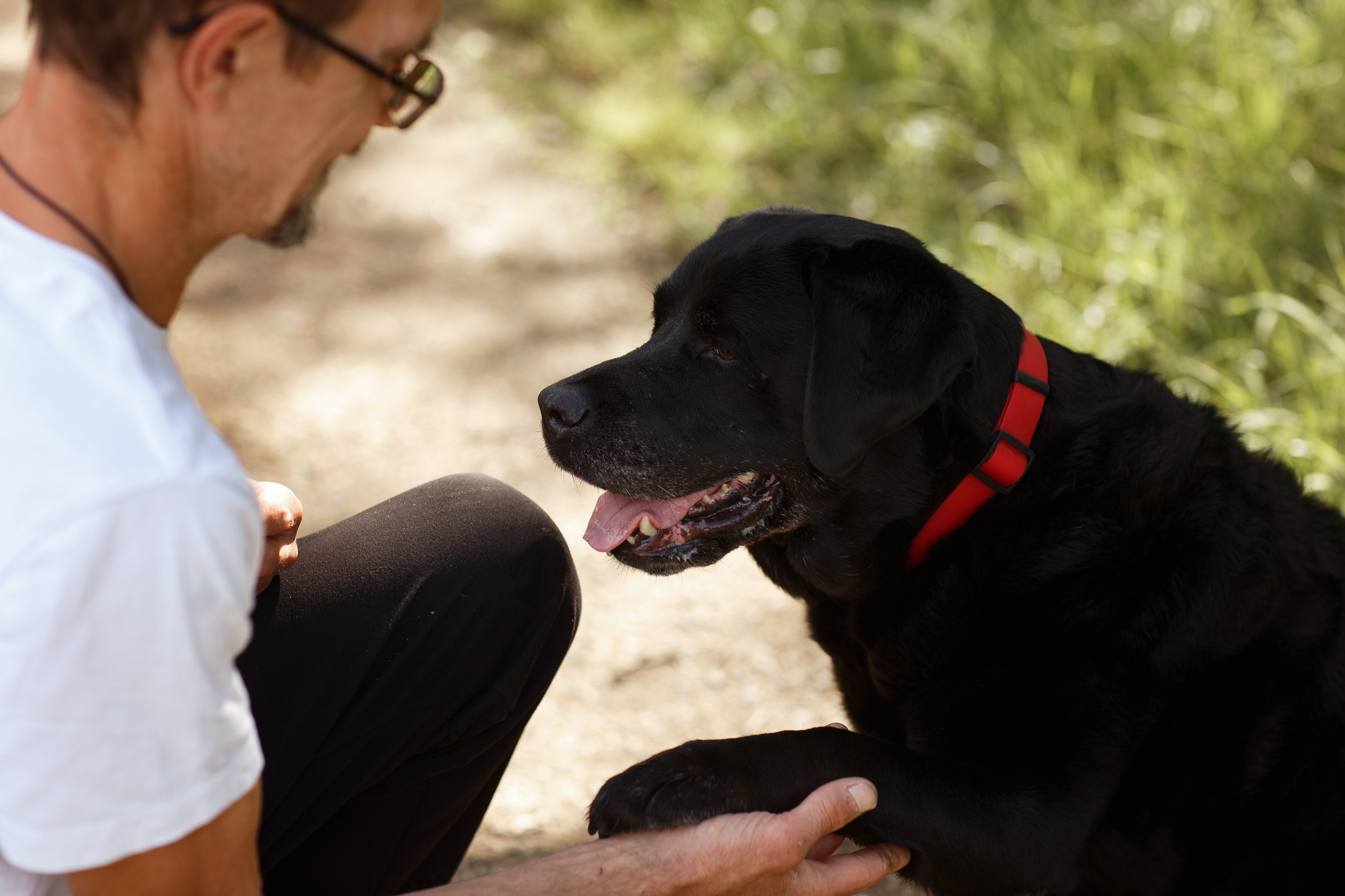 Александр и Мона. Фотограф — Анималист Наталья Тямушева