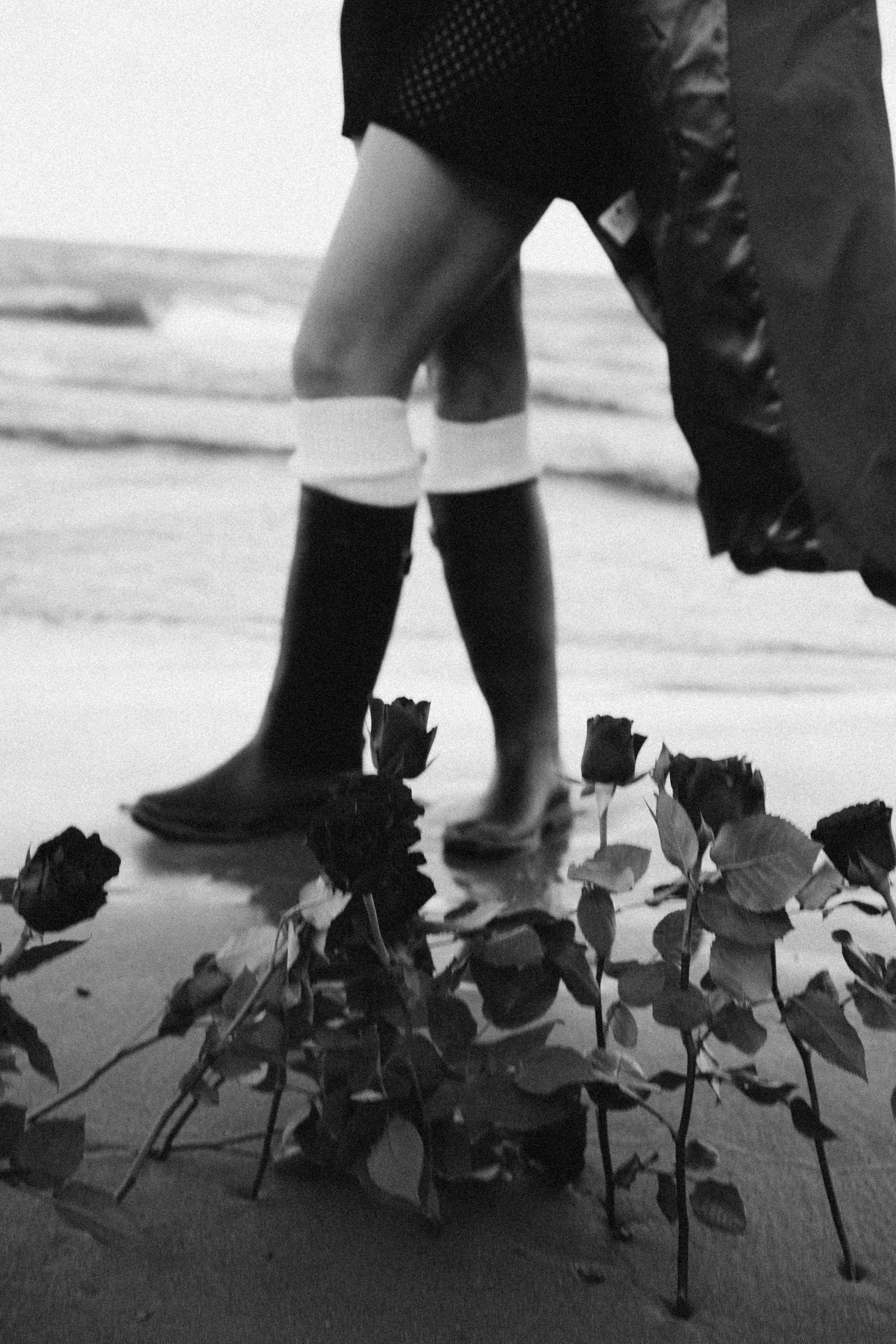 Розы. Профессиональный фотограф, Санкт-Петербург — Виктория Богомолова