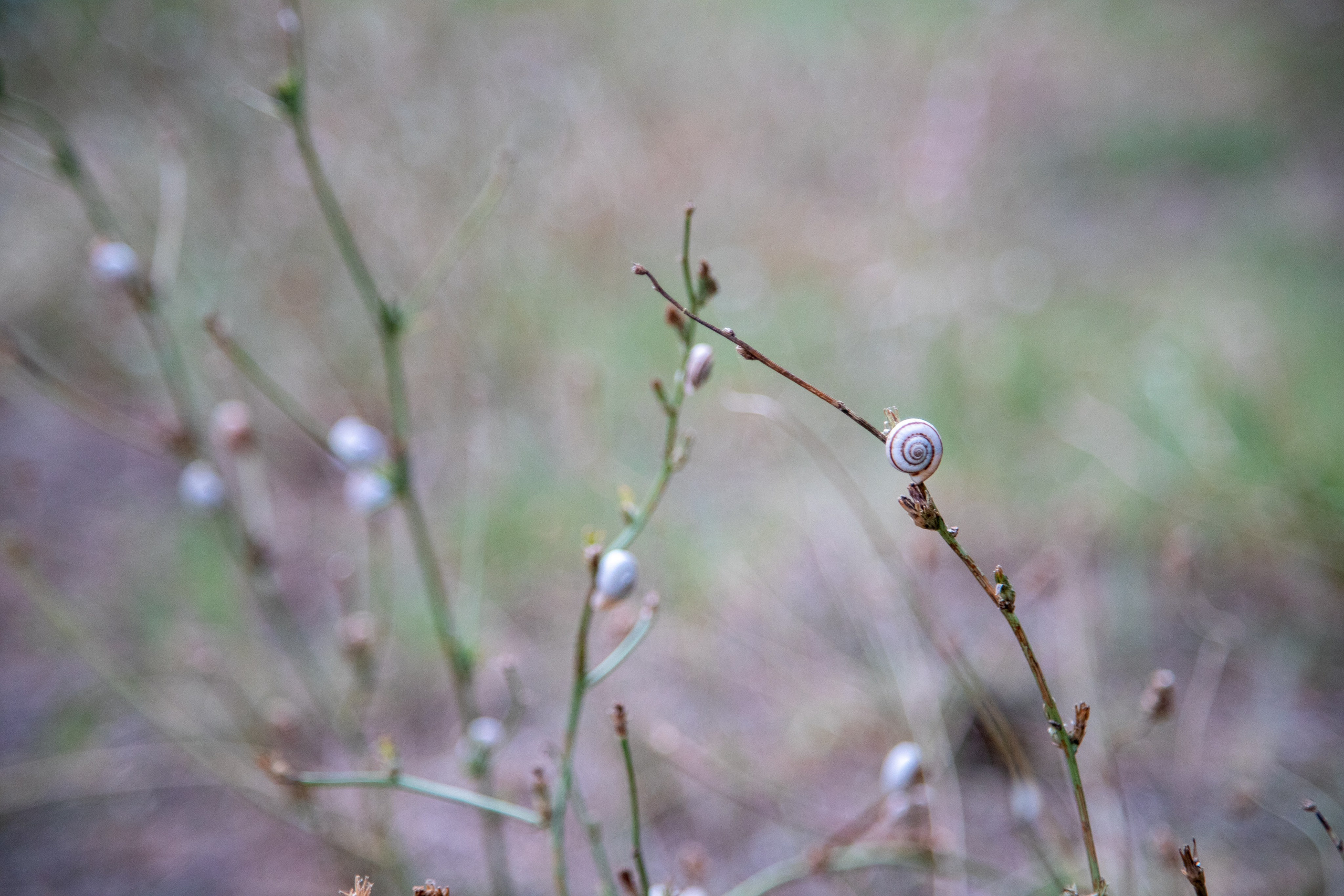 Фотографии природы Крыма из 2021 года. Море, холмы, закаты. Фотограф видеограф широкого профиля Денис Захаров
