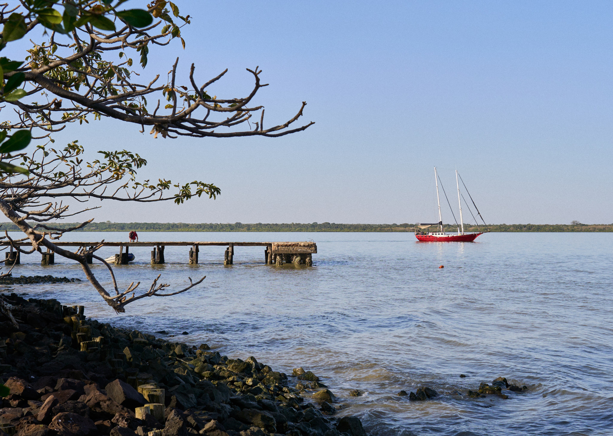 Gambia River. See the moment and catche. commercial and reportage