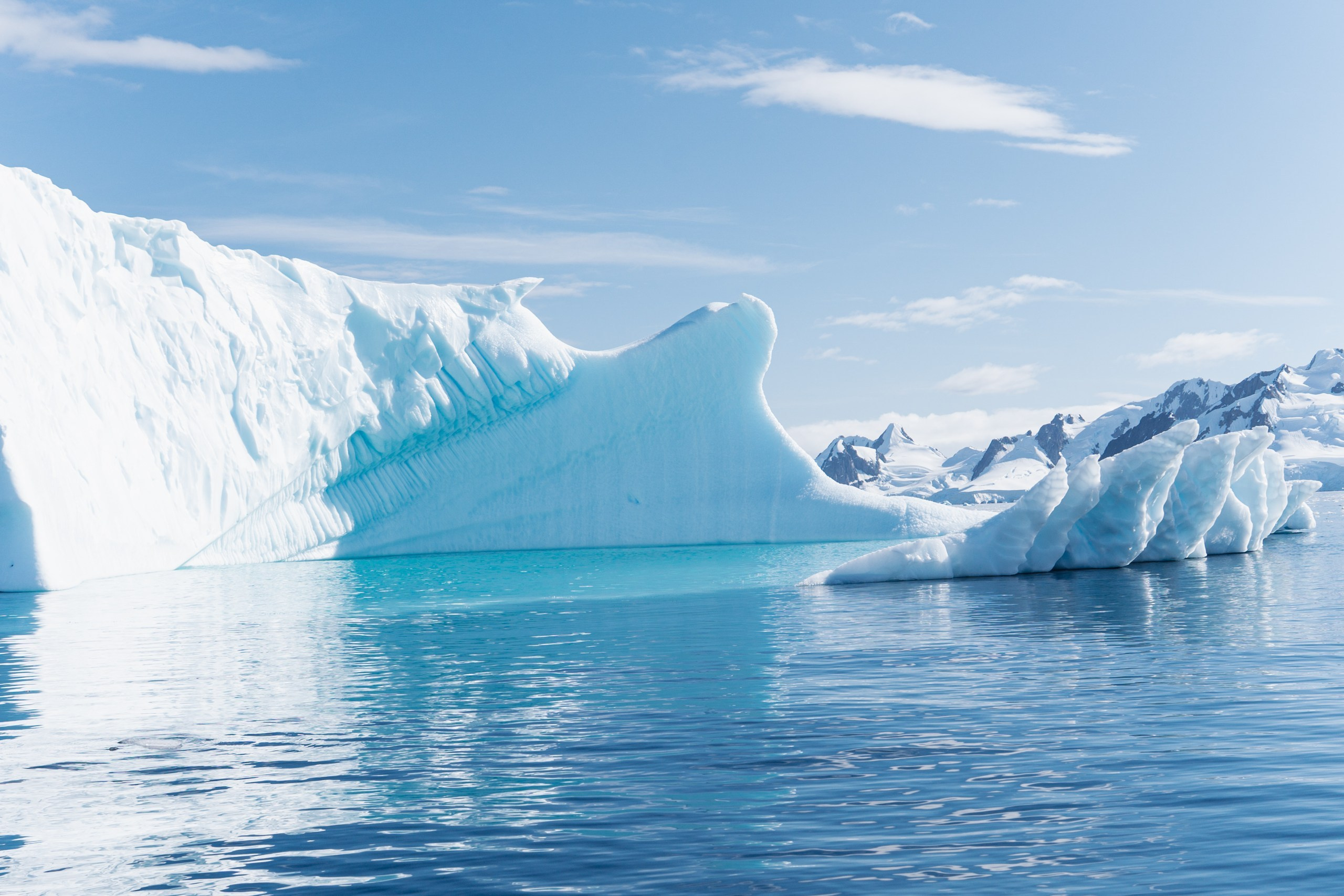 Природа. Медийный светский репортажный фотограф