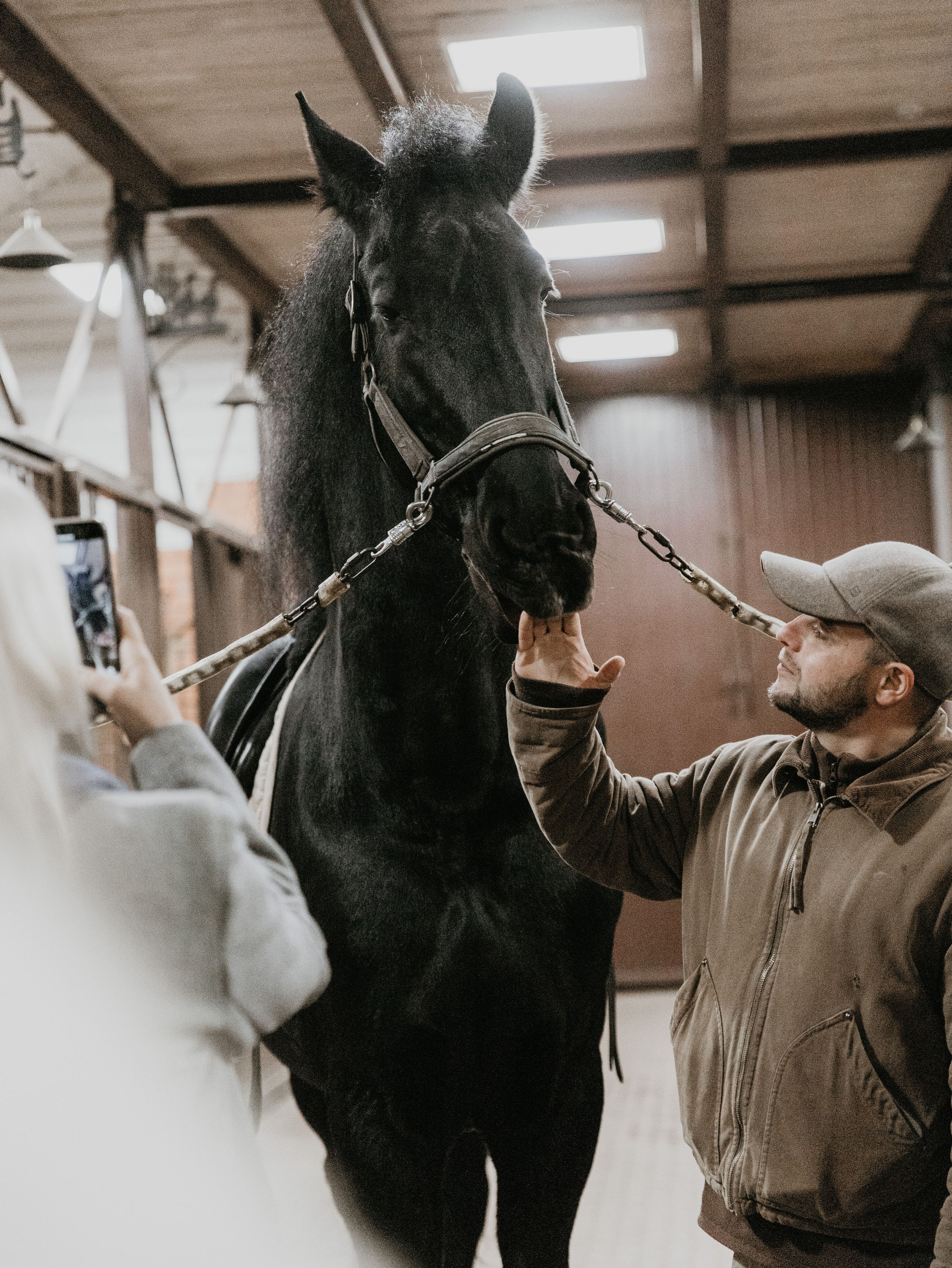 Ферма «Few Horses». Фотограф | портрет | бренды | репортаж