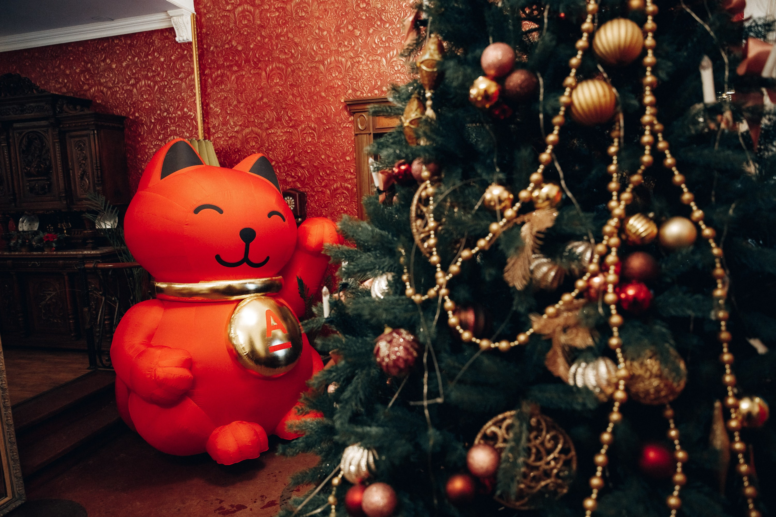 Конференция. Свадебный фотограф Дмитрий Воробьев Ярославль