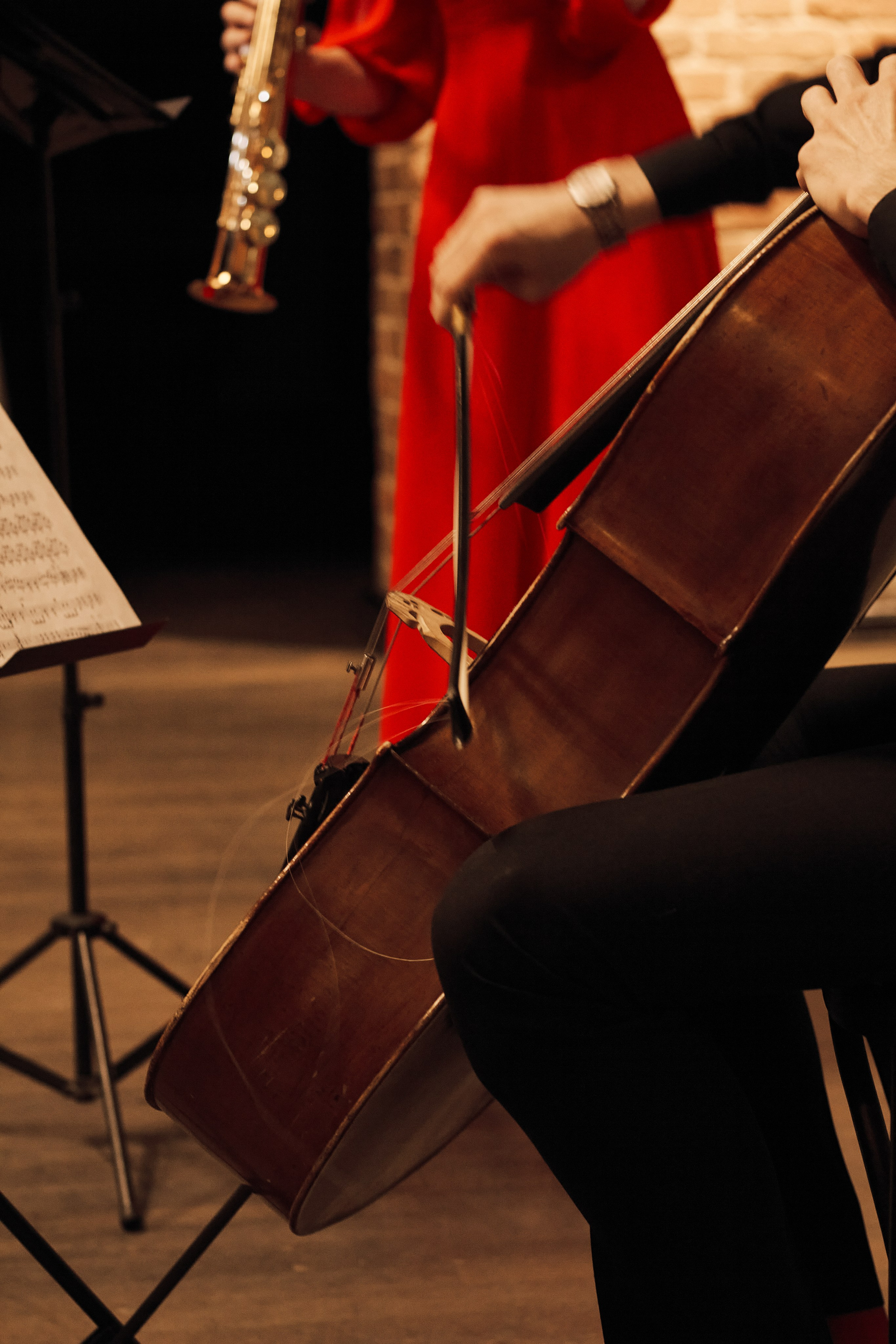 Sax Cello Duo (Музей Истории Екатеринбурга). Фотограф из Первоуральска Роман Заиченко