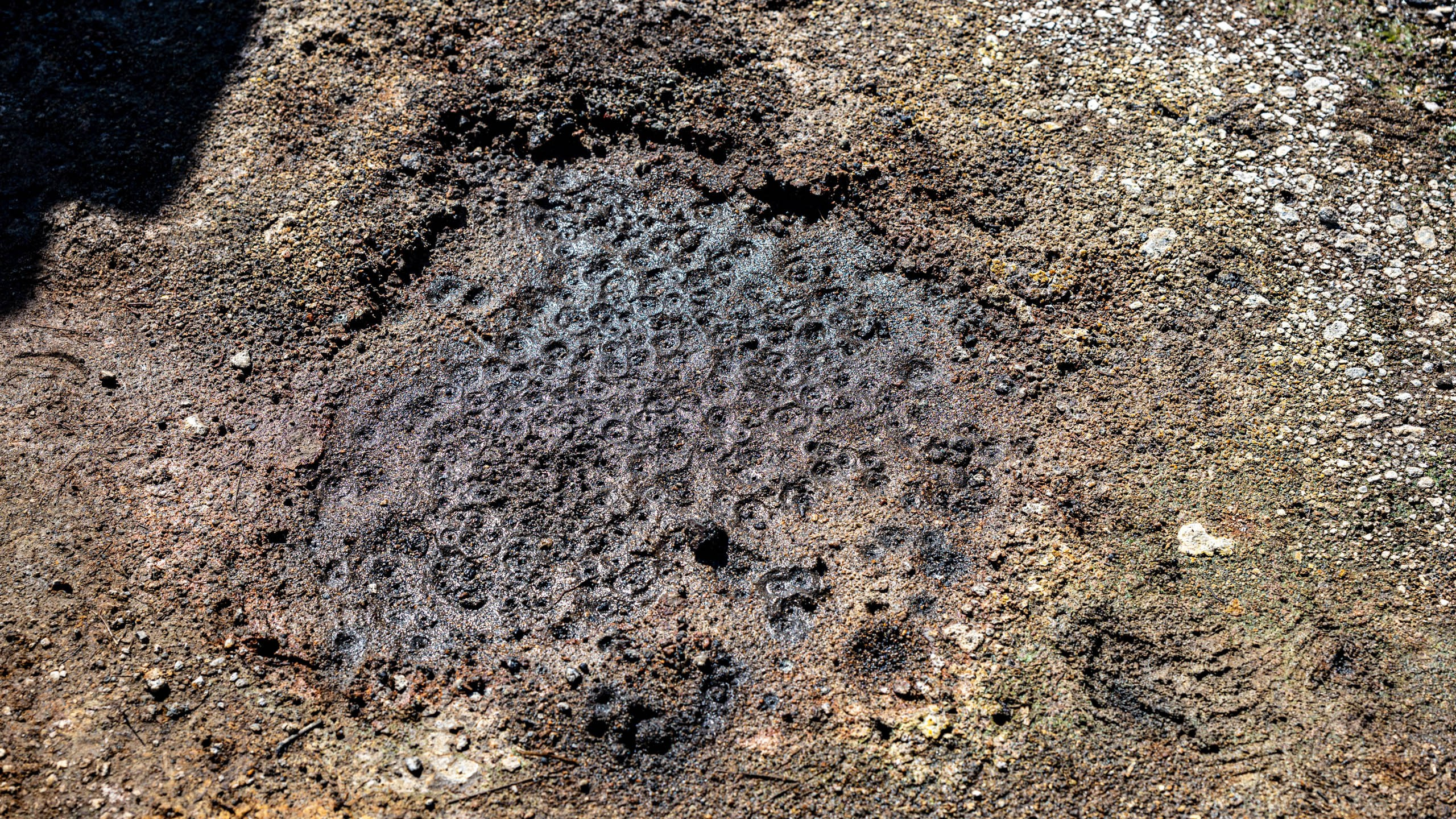 2023 07 Камчатка. Фотографии