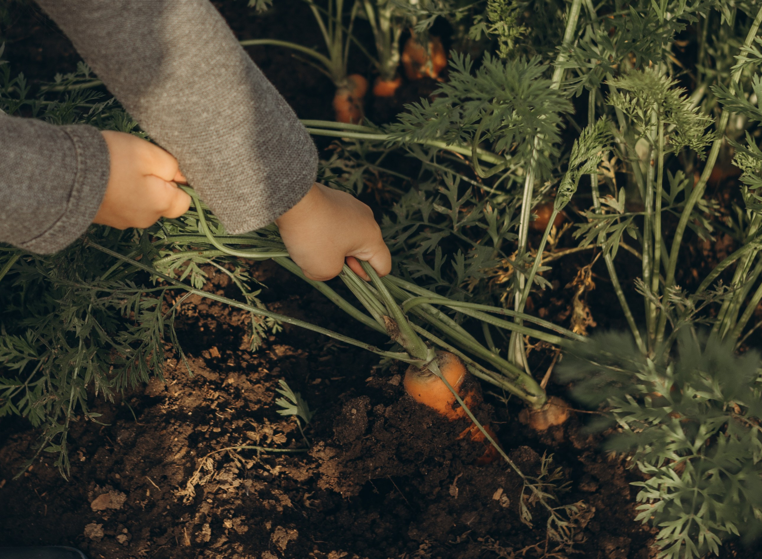 Детство. Семейный и детский фотограф в Тюмени Вика Алленова