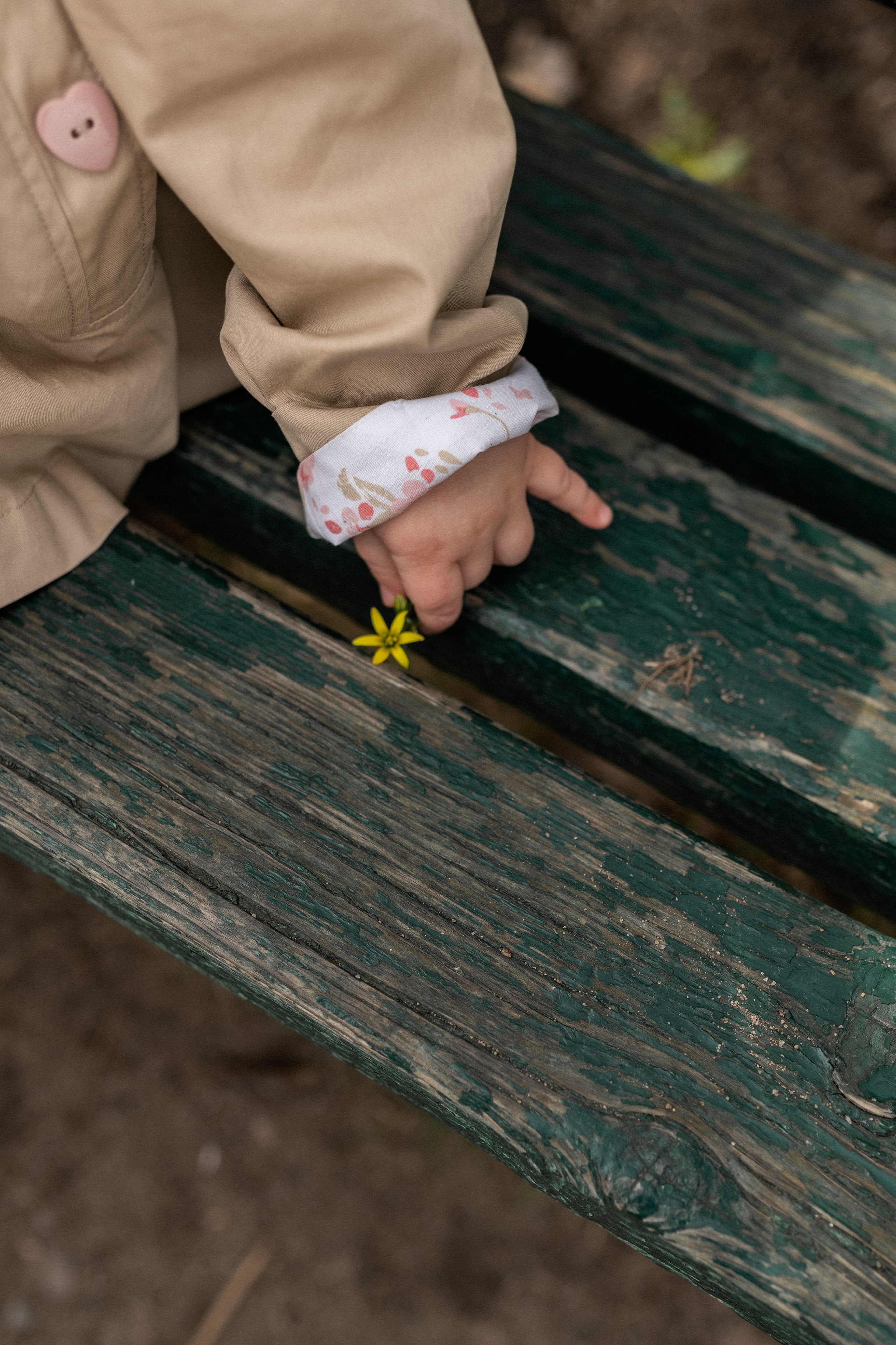 Семейная история. Семейный фотограф в Солнечногорске Федорова Евгения