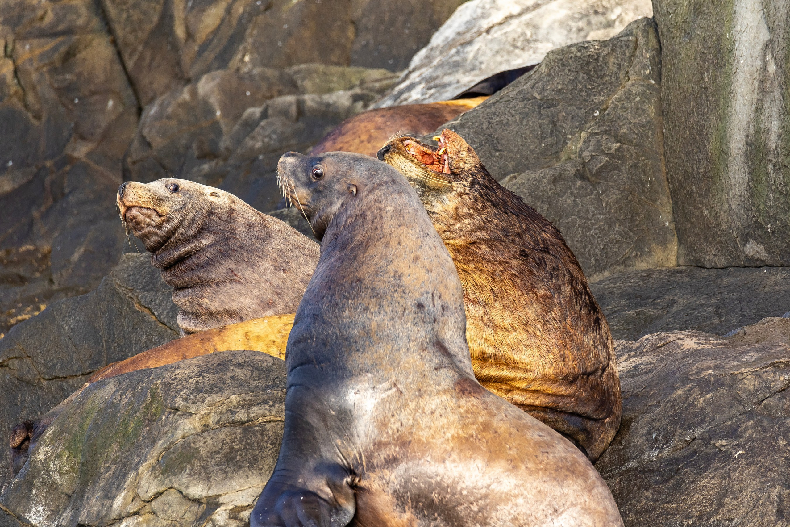 Камчатка. Макс По — фото и видео съемки любого формата