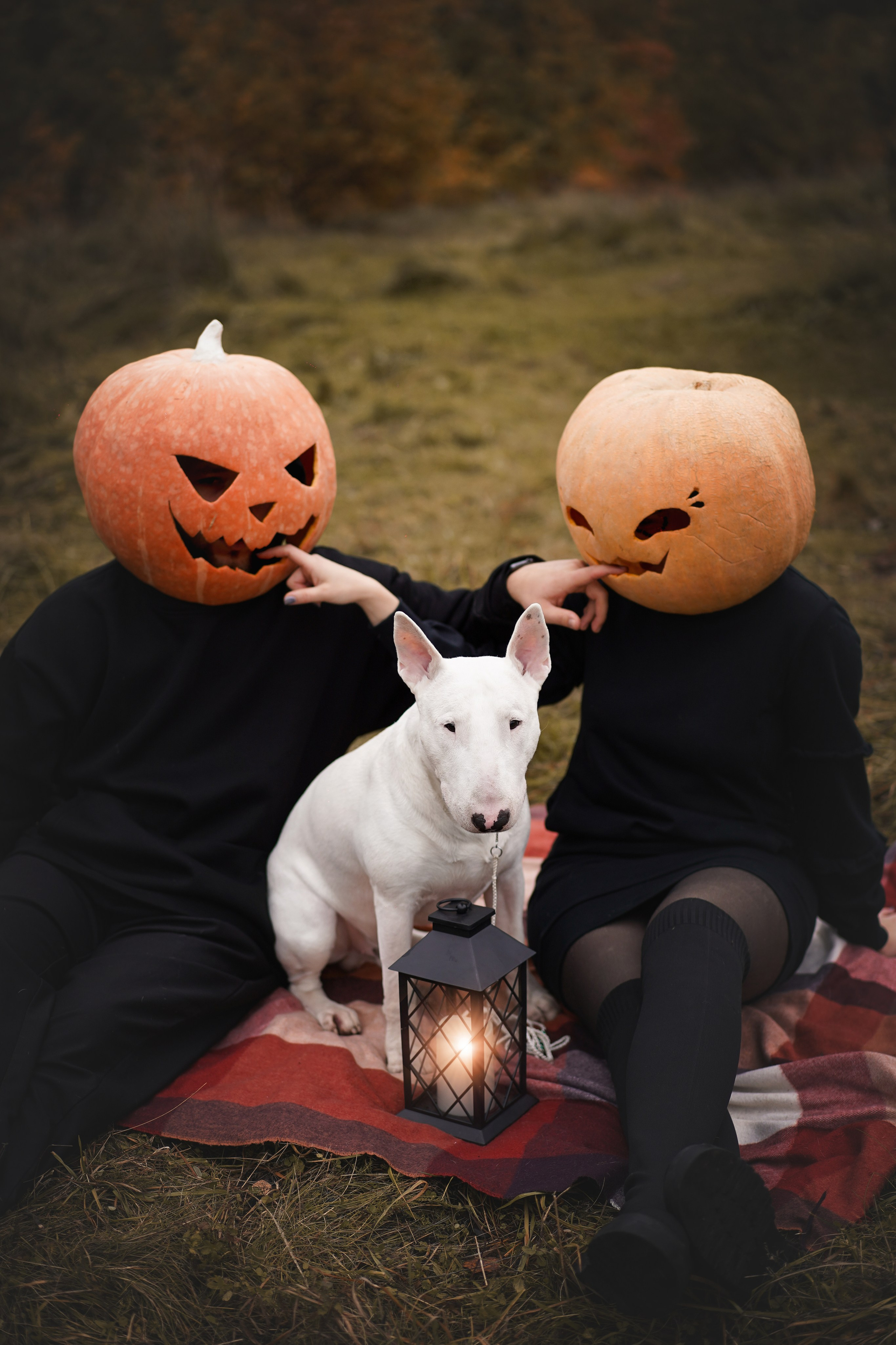 Настя Рома и Сахар Хелоуин. Фотограф-анималист в Санкт-Петербурге Яна Мартынова