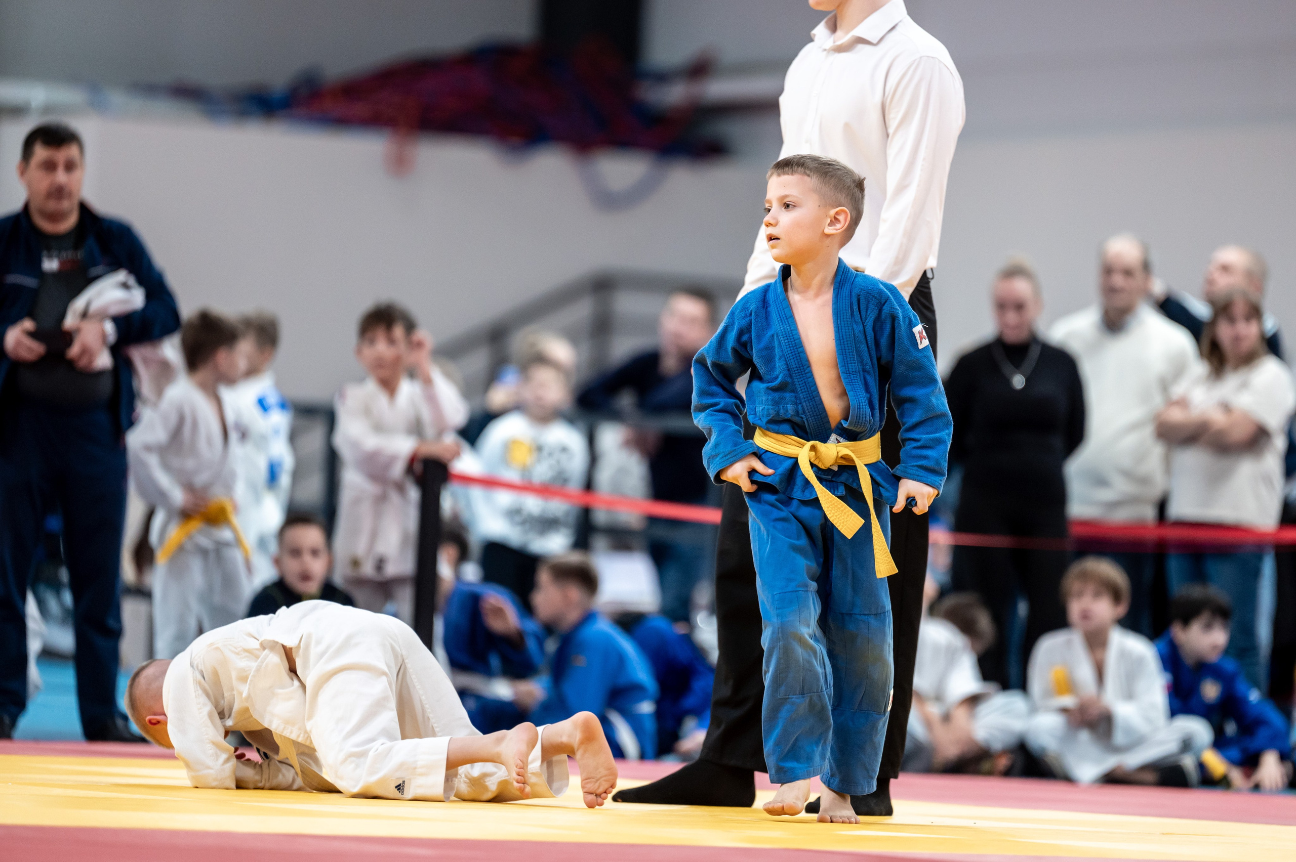 Новогодний турнир по дзюдо. Январь 2024. Спортивный фотограф в Туле и Тульской области. Файсханова Фото Спорт