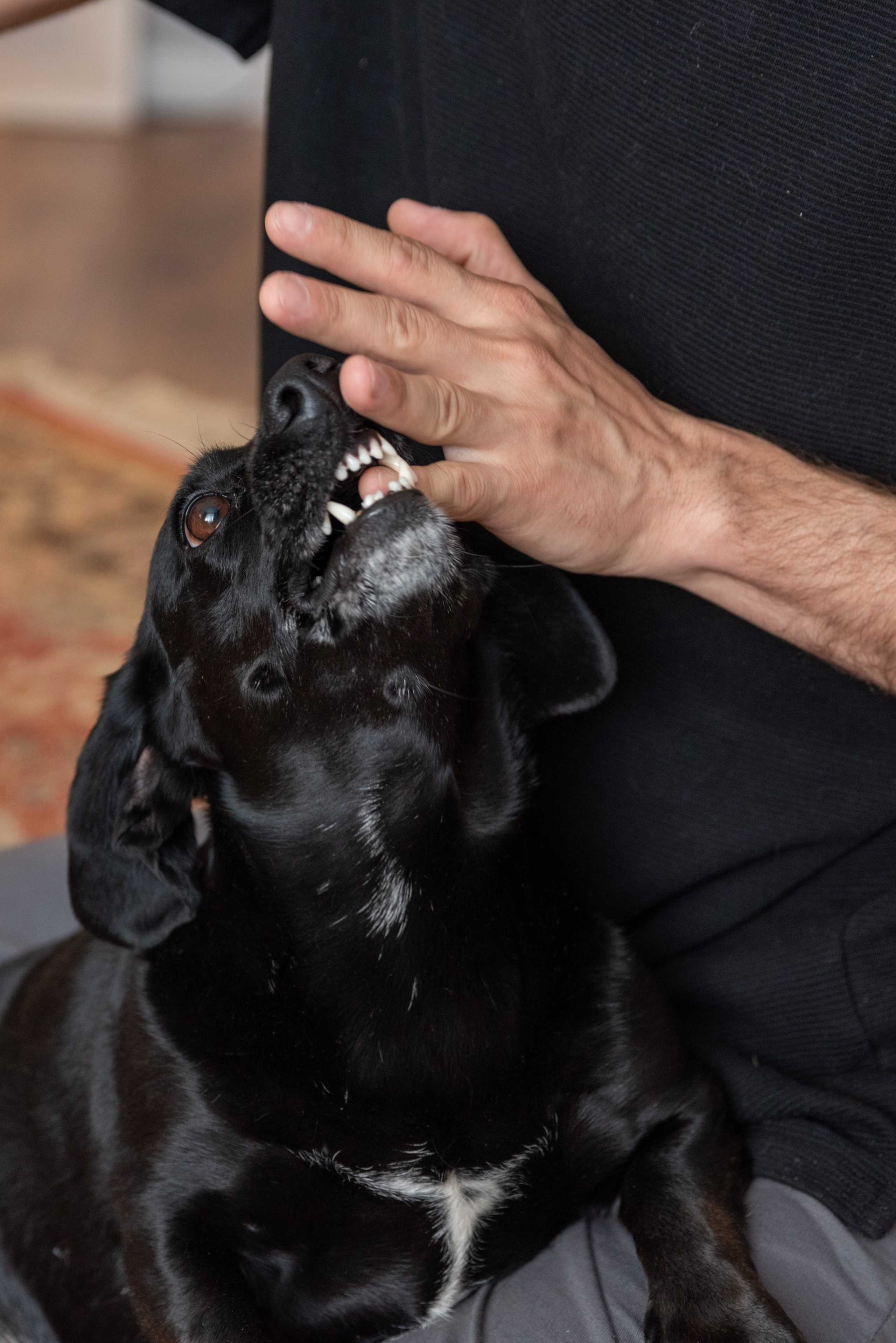 Алина, Милана и Александр. Фотограф в Санкт-Петербурге Виктор Кудряшов
