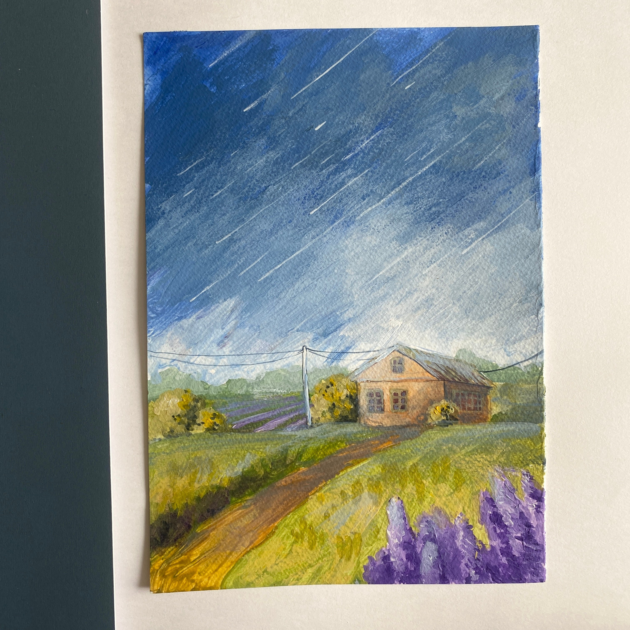 Лаванда. Стоимость 3000 руб. Без оформления.