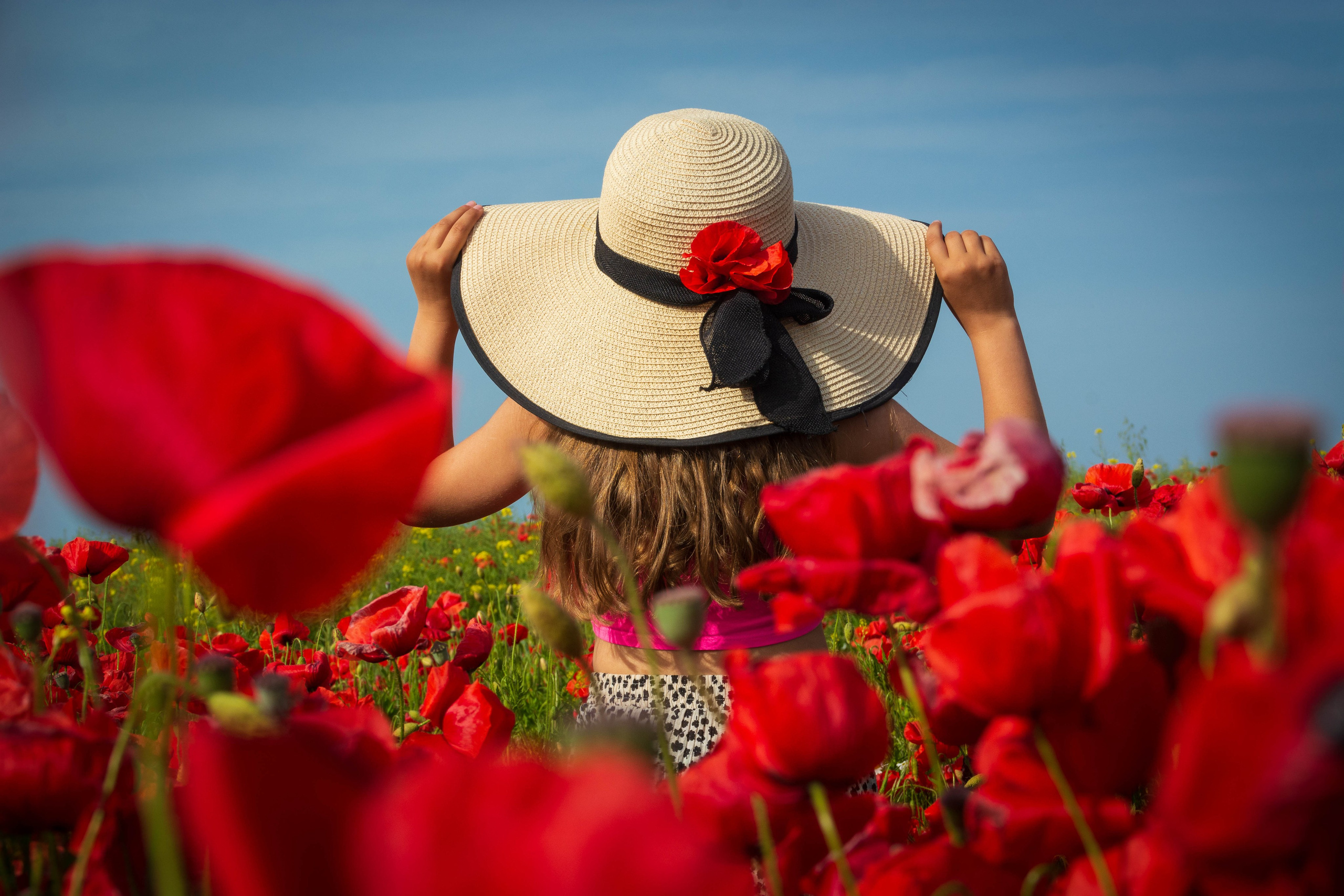 Фотосессия в поле маков. Елена Волкова семейный фотограф в станице Гостагаевской города-курорта Анапа