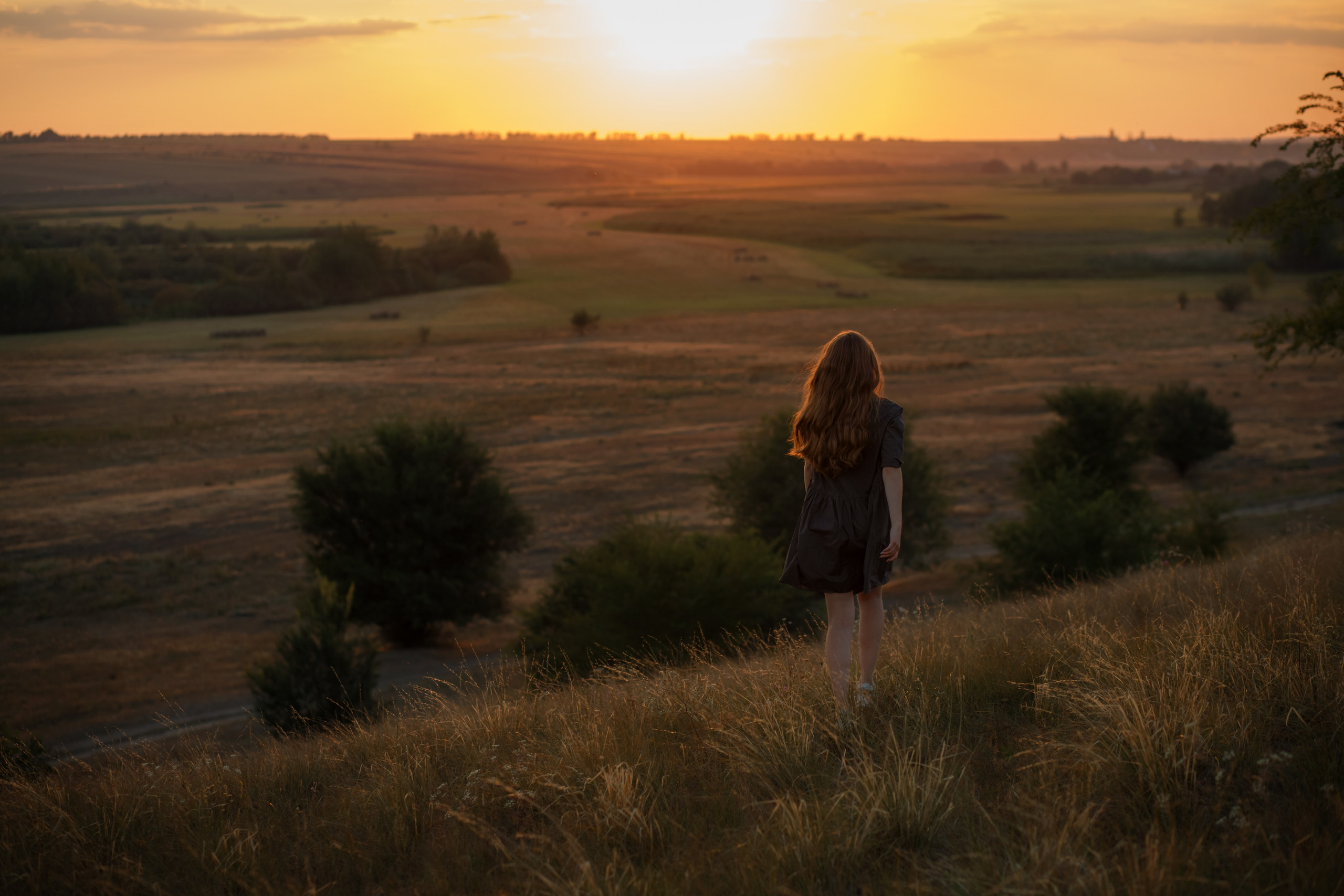 Летние поля. Детский и семейный фотограф в Москве и Моск. области Татьяна Минаева