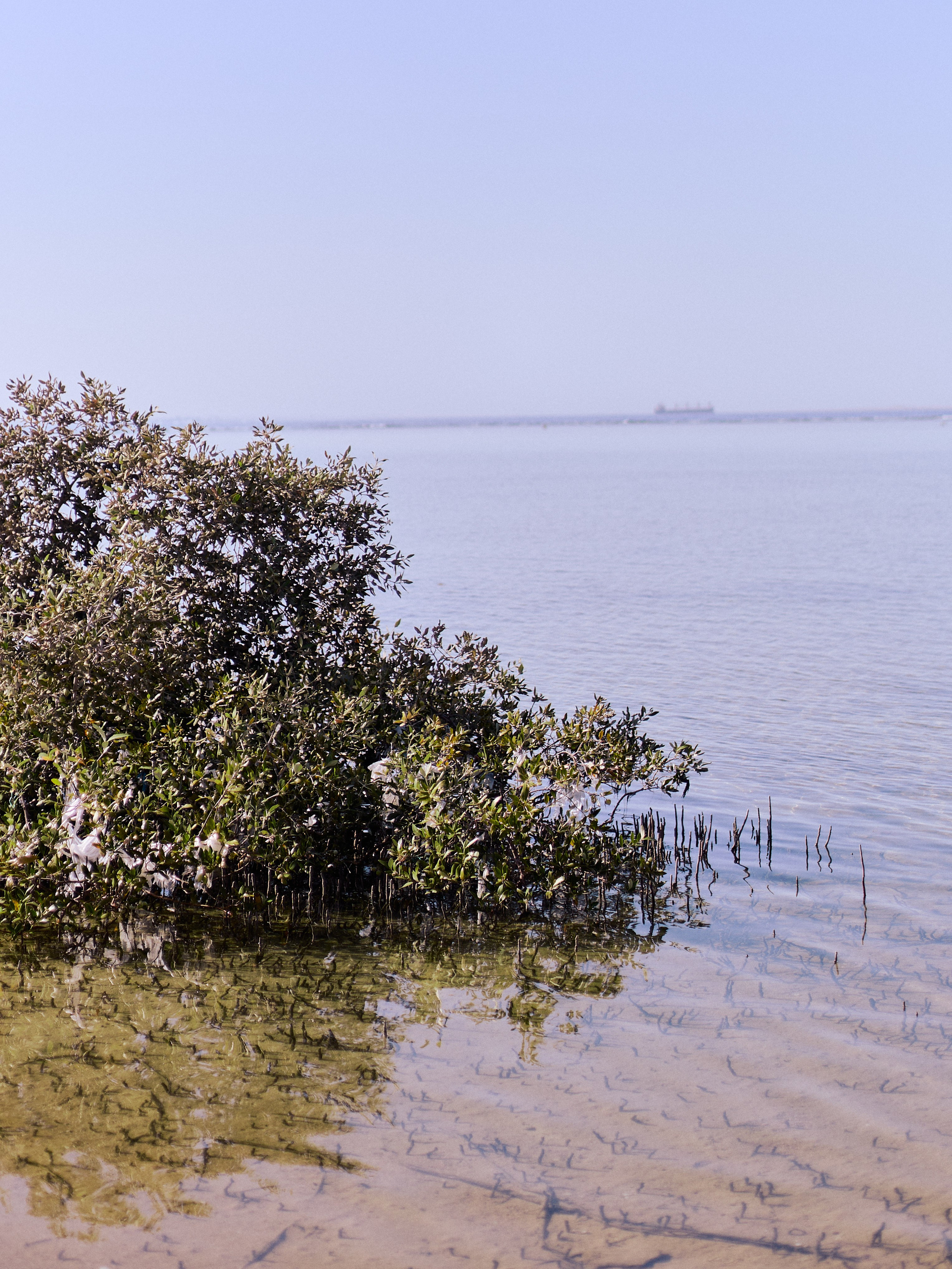Диптих. Jorgis — фотограф в Хургаде / обучение фотографии
