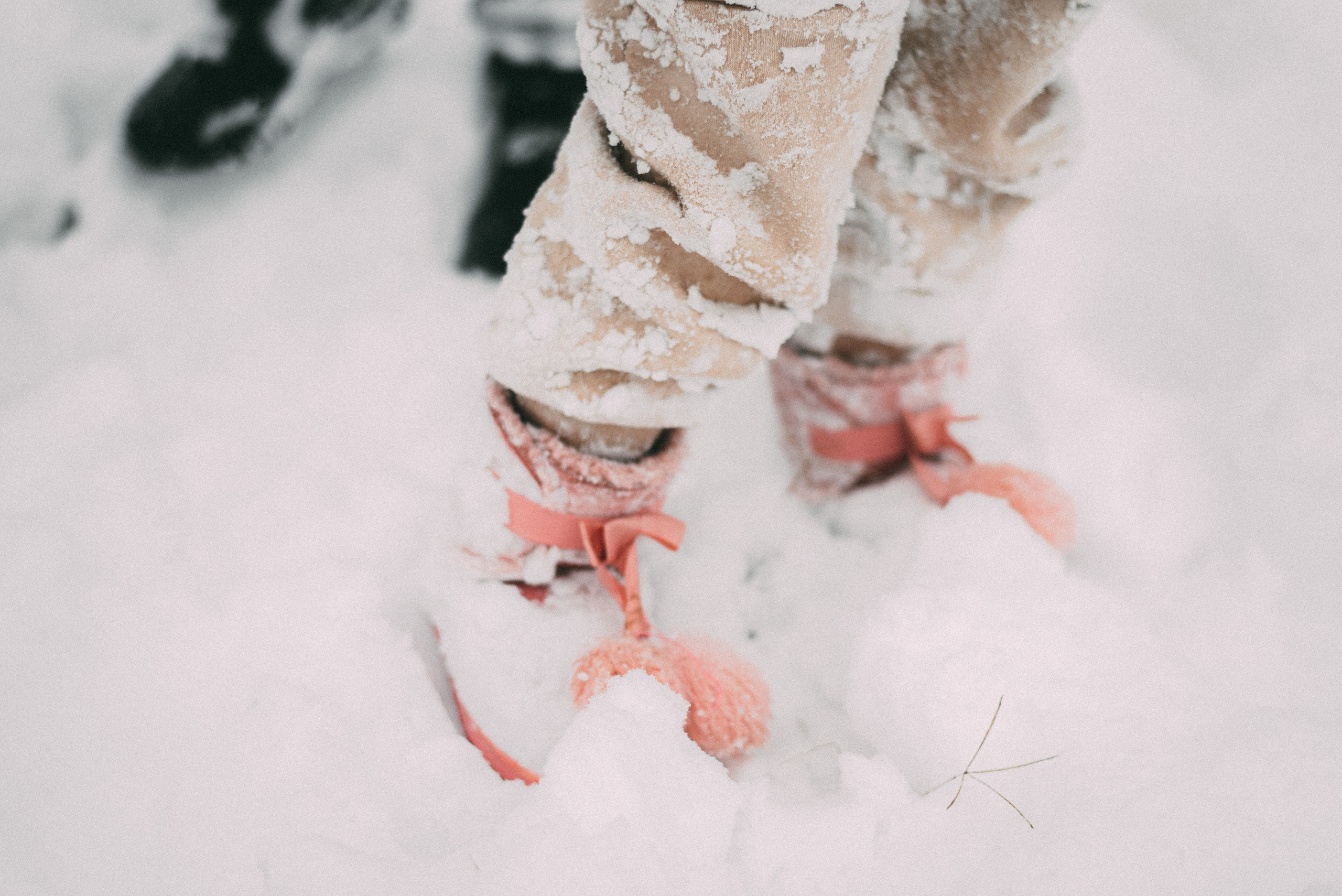 Фотосессия для меня редкость. Фотограф|КРЫМ| Владимир Комок