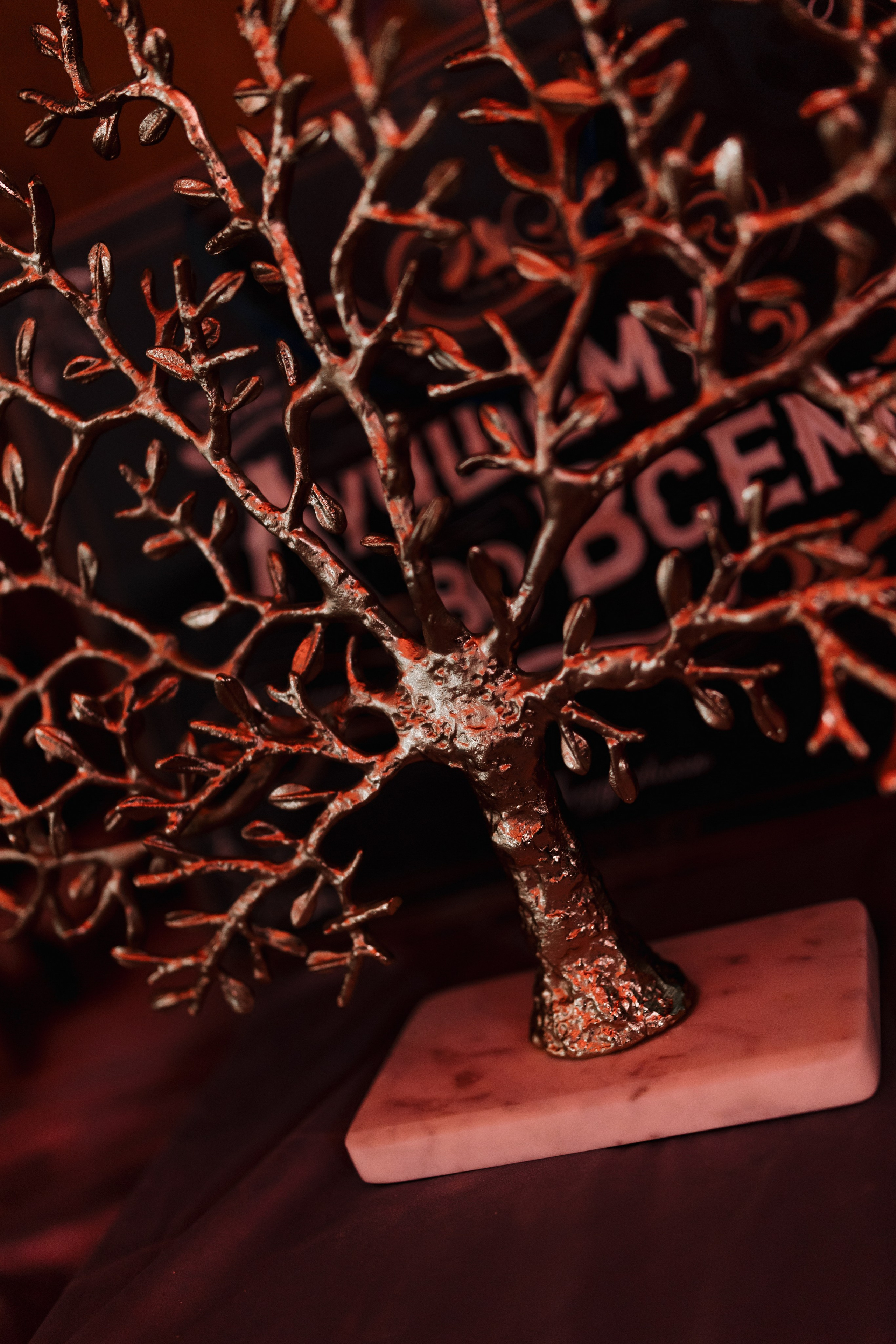 КАЗПРОМ. Ланемец Юлия — фотограф Волгоград/Волжский