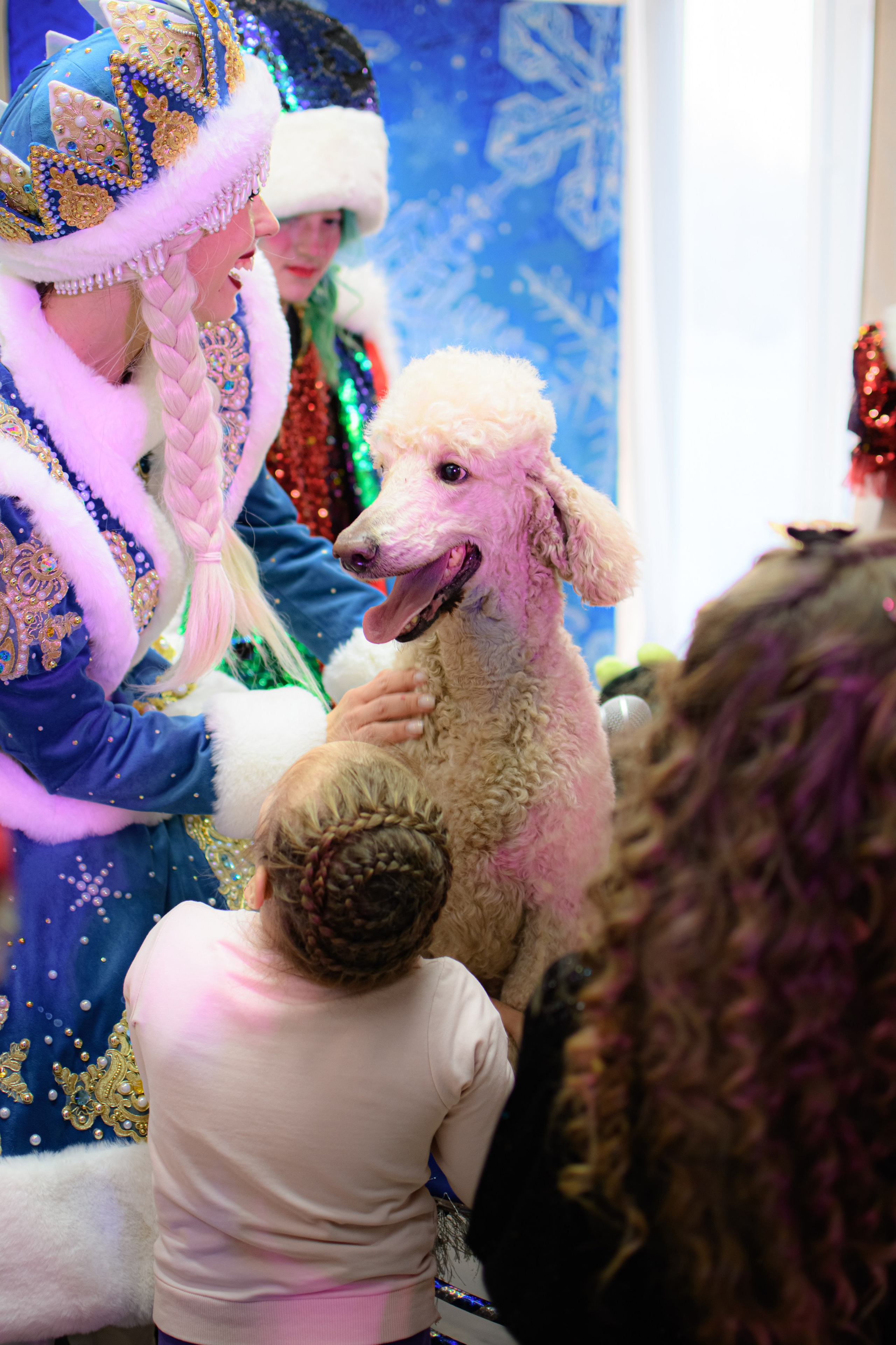 HAPPY NEW YEAR. Photokarish