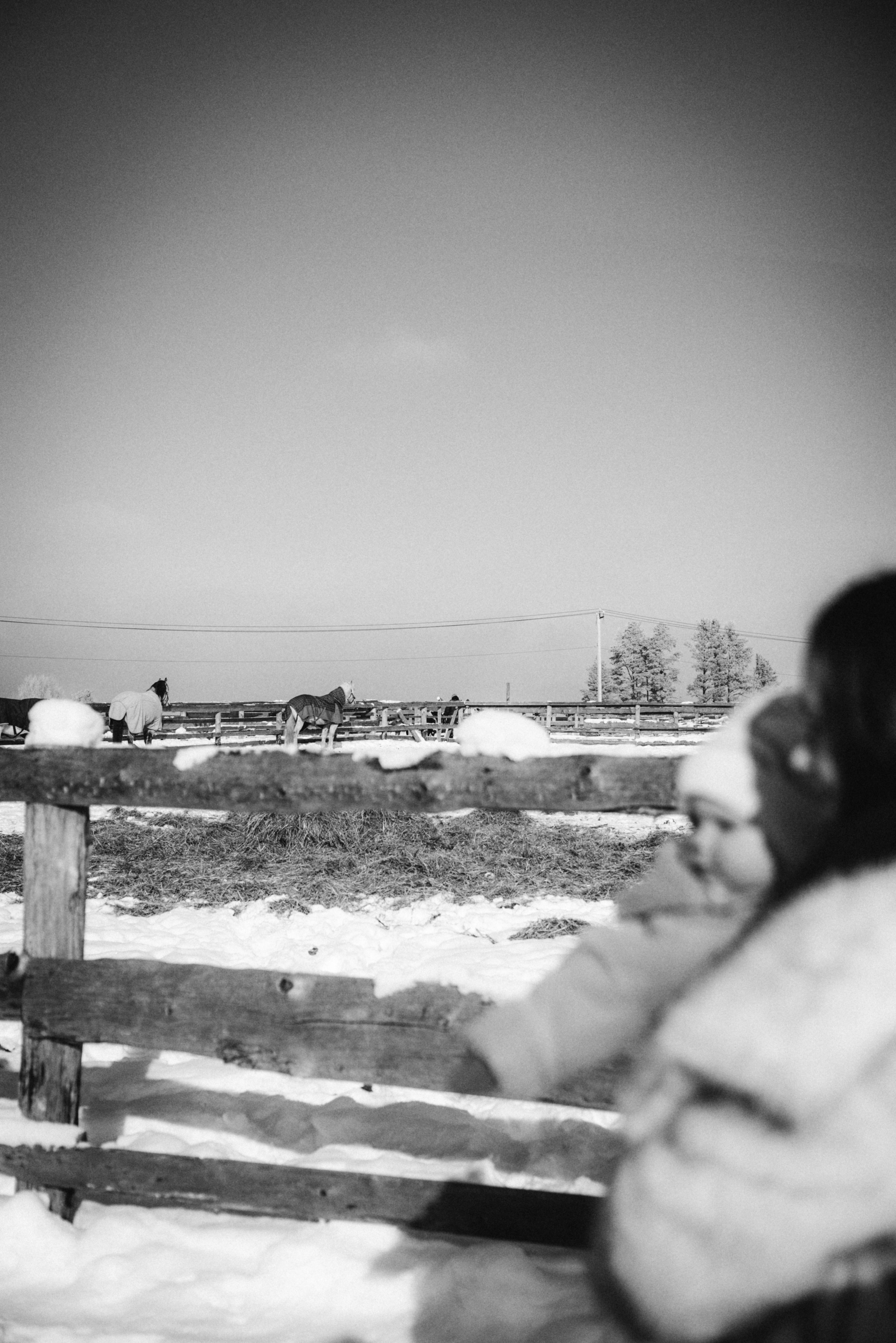 Настя с Сашей и Полей на ферме. Klerout Photographer