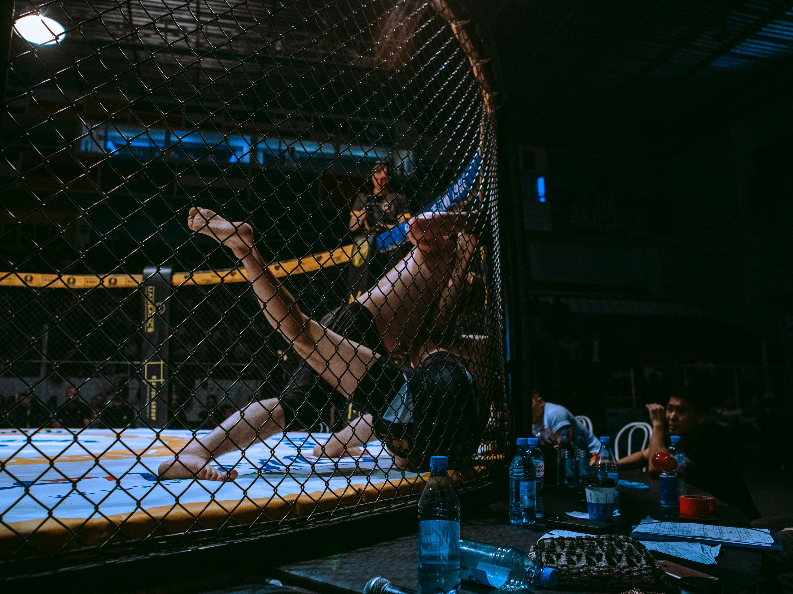 SFL 17 | Siberian Fighting League. Портретный фотограф в Москве Дарья Цезария