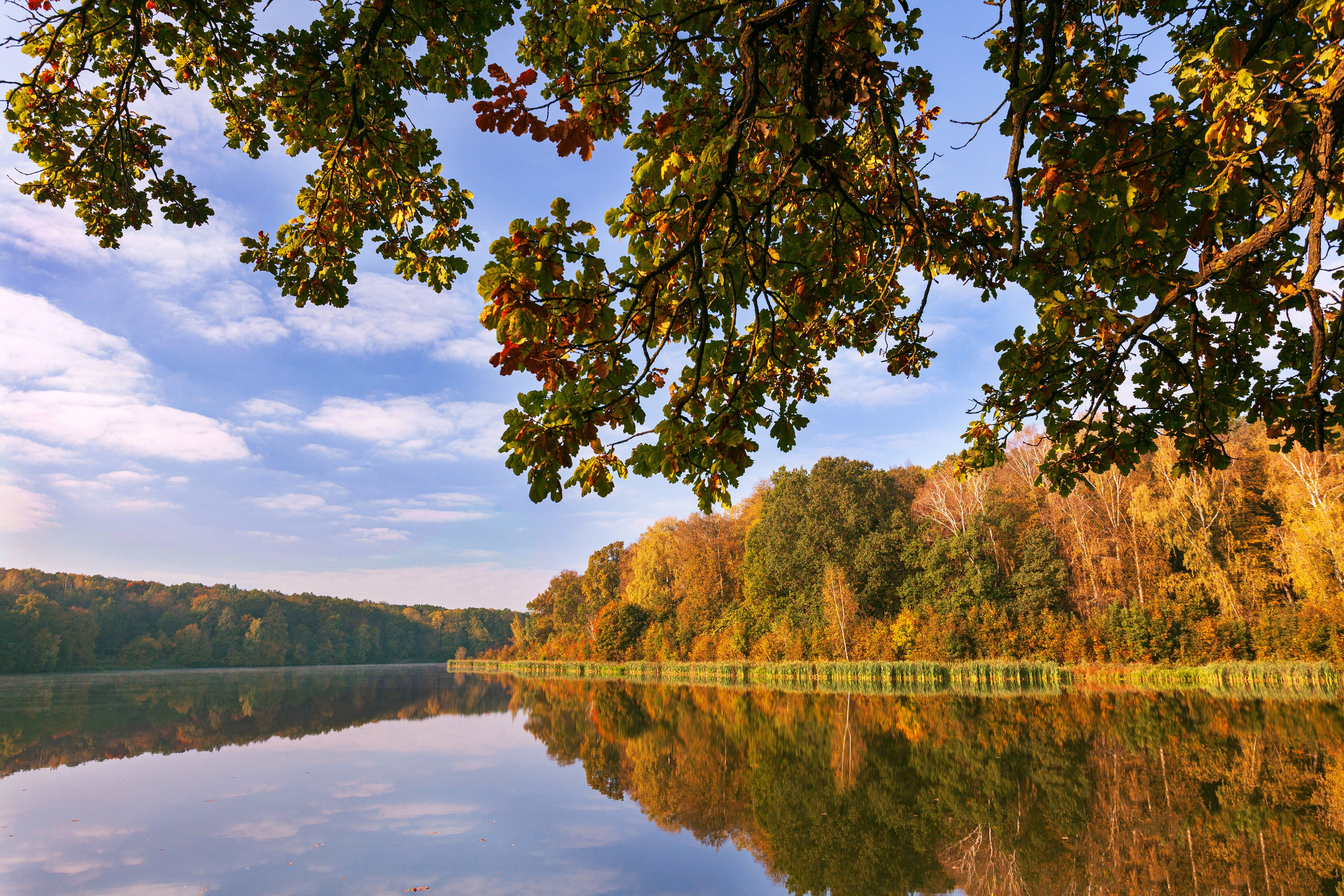 Природа. Фотохудожник Артём Парамонов